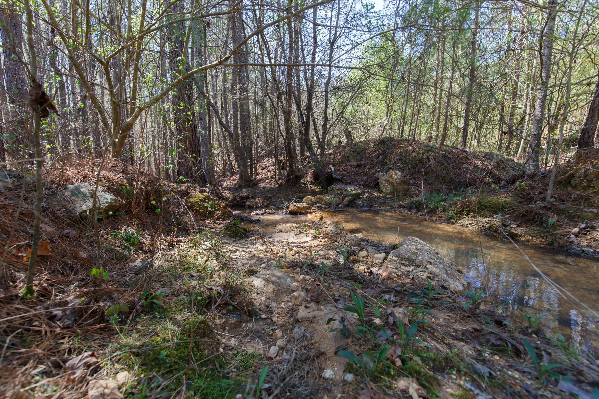 Southern Hills Tract 17 photo 25