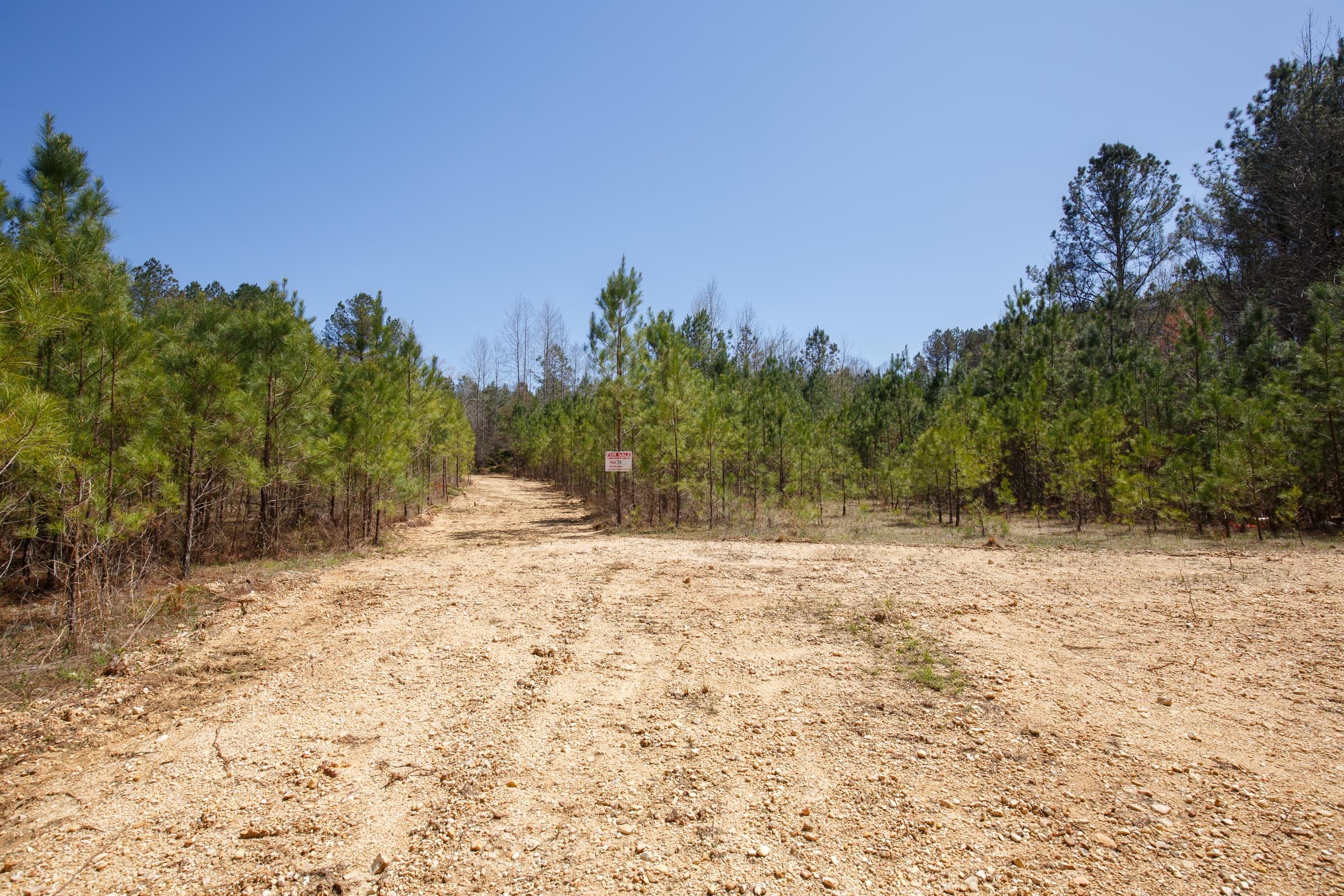 Southern Hills Tract 17 photo 26