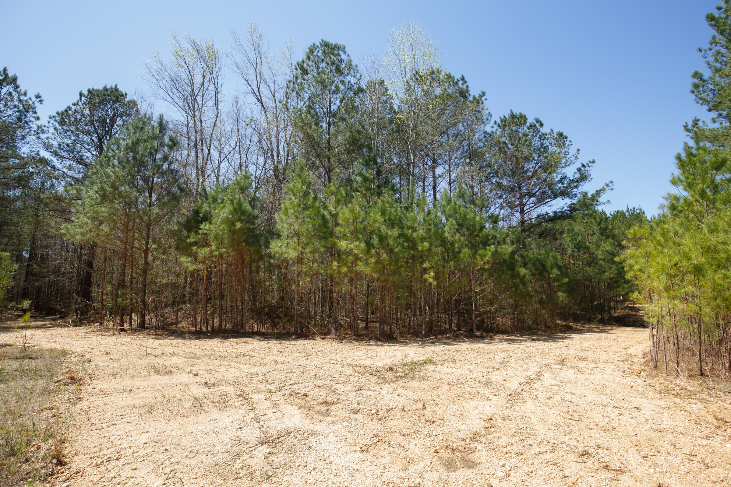 Southern Hills Tract 17 photo 27