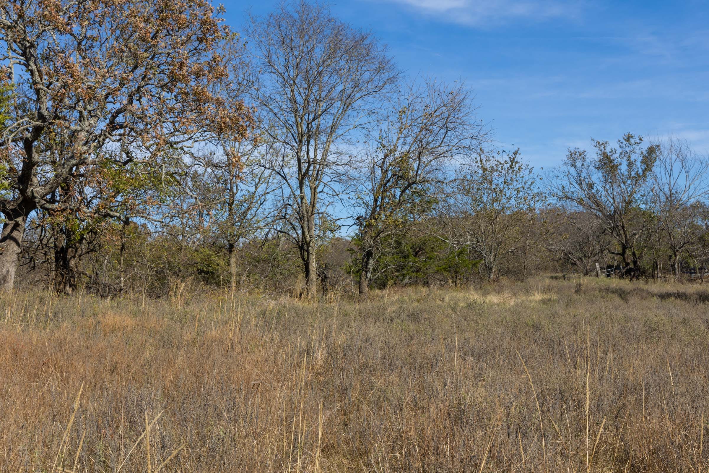 Harmony Hills Tract 38 photo 11