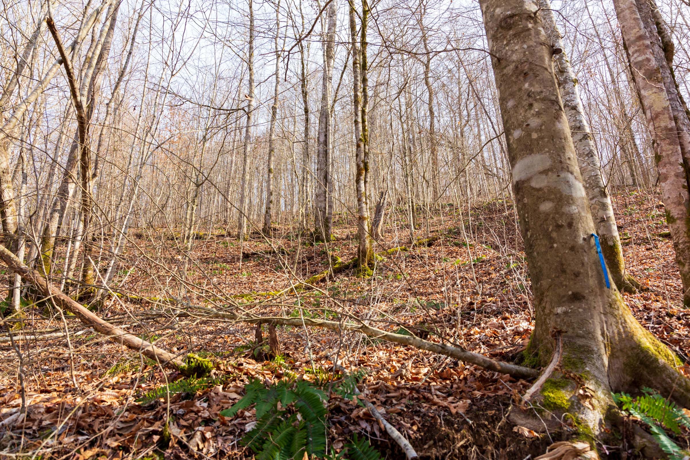Blackstone Mountain Phase II Tract 57 photo 2