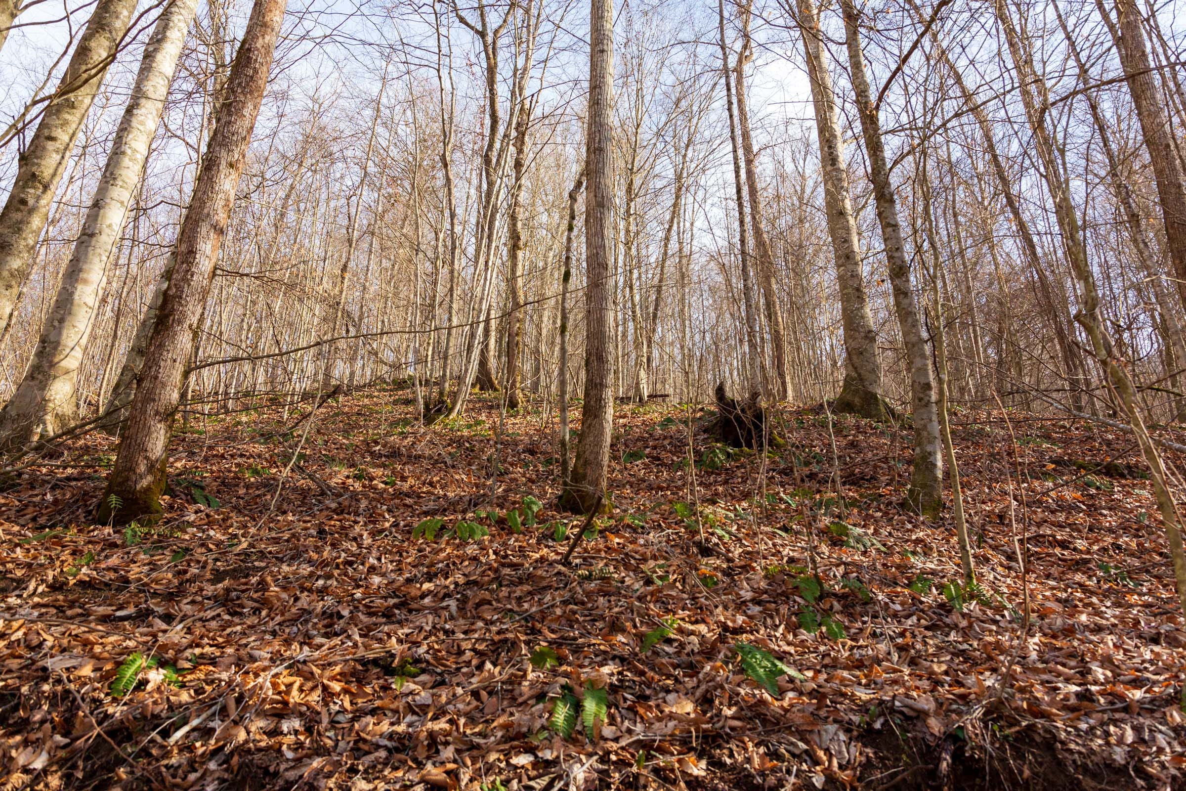 Blackstone Mountain Phase II Tract 57 photo 3