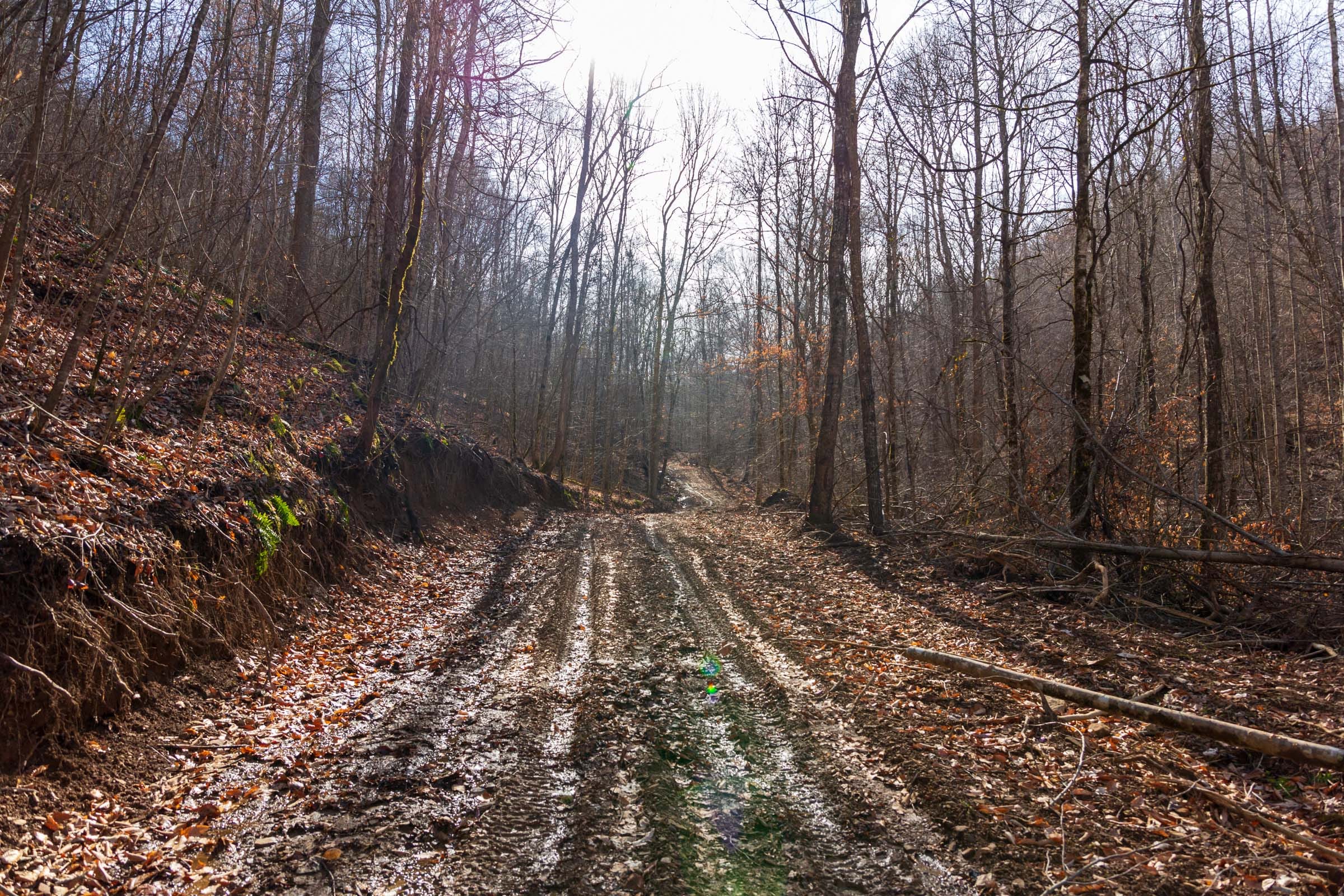 Blackstone Mountain Phase II Tract 57 photo 1