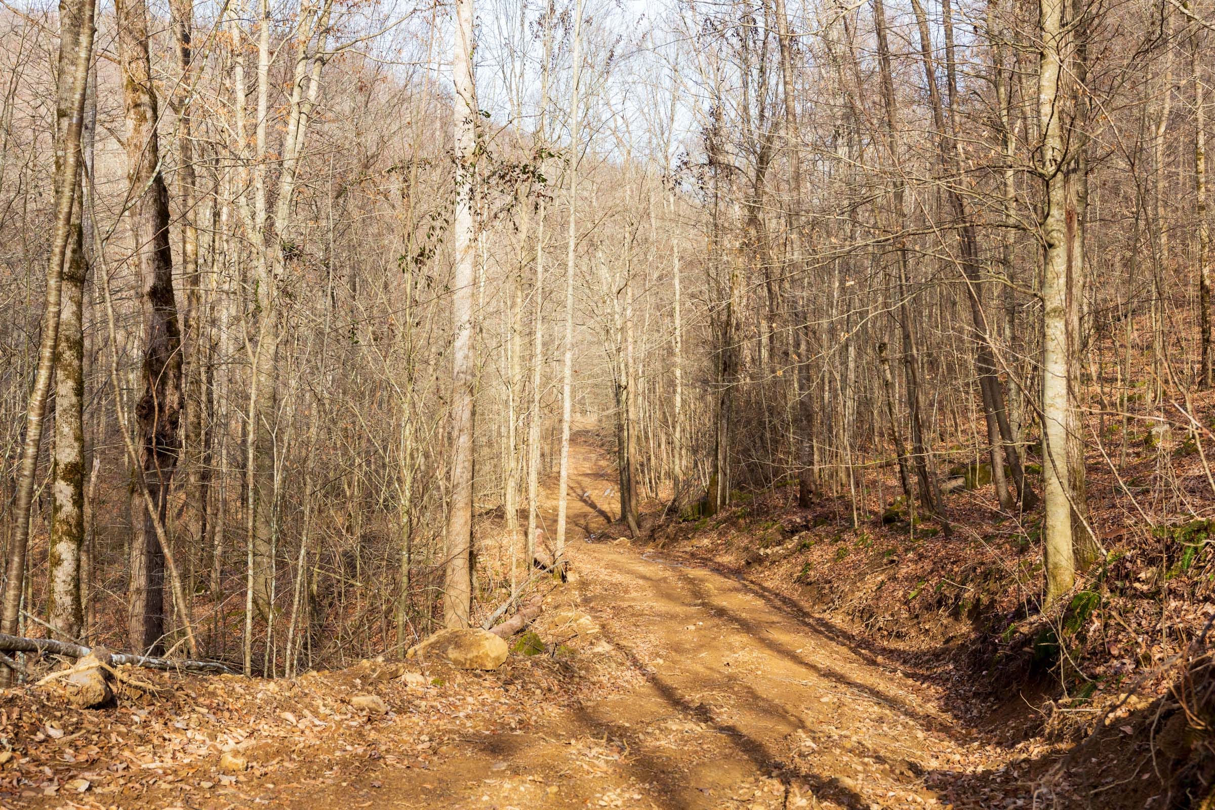 Blackstone Mountain Phase II Tract 57 photo 7