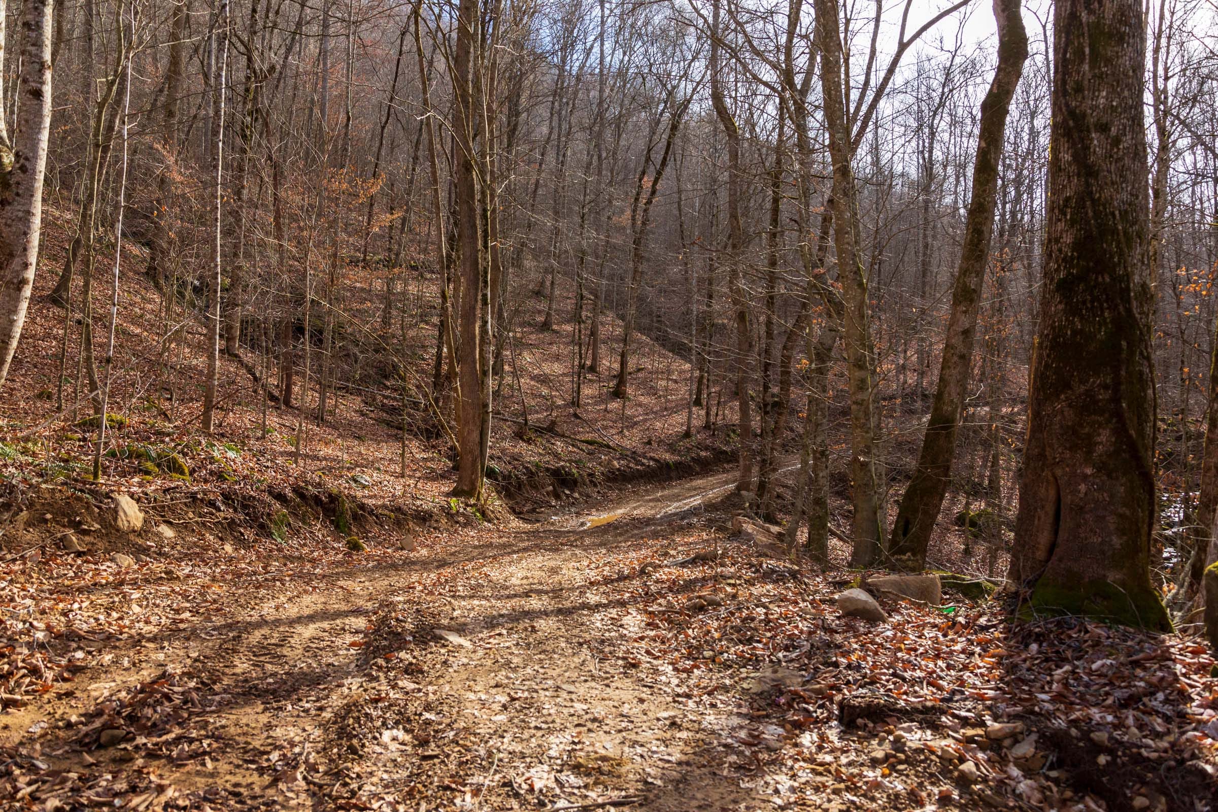 Blackstone Mountain Phase II Tract 57 photo 8
