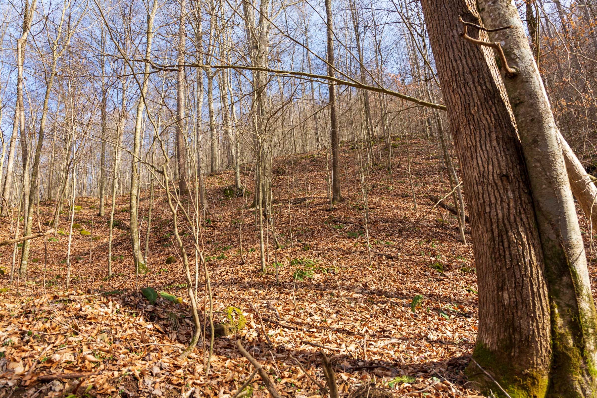 Blackstone Mountain Phase II Tract 57 photo 12