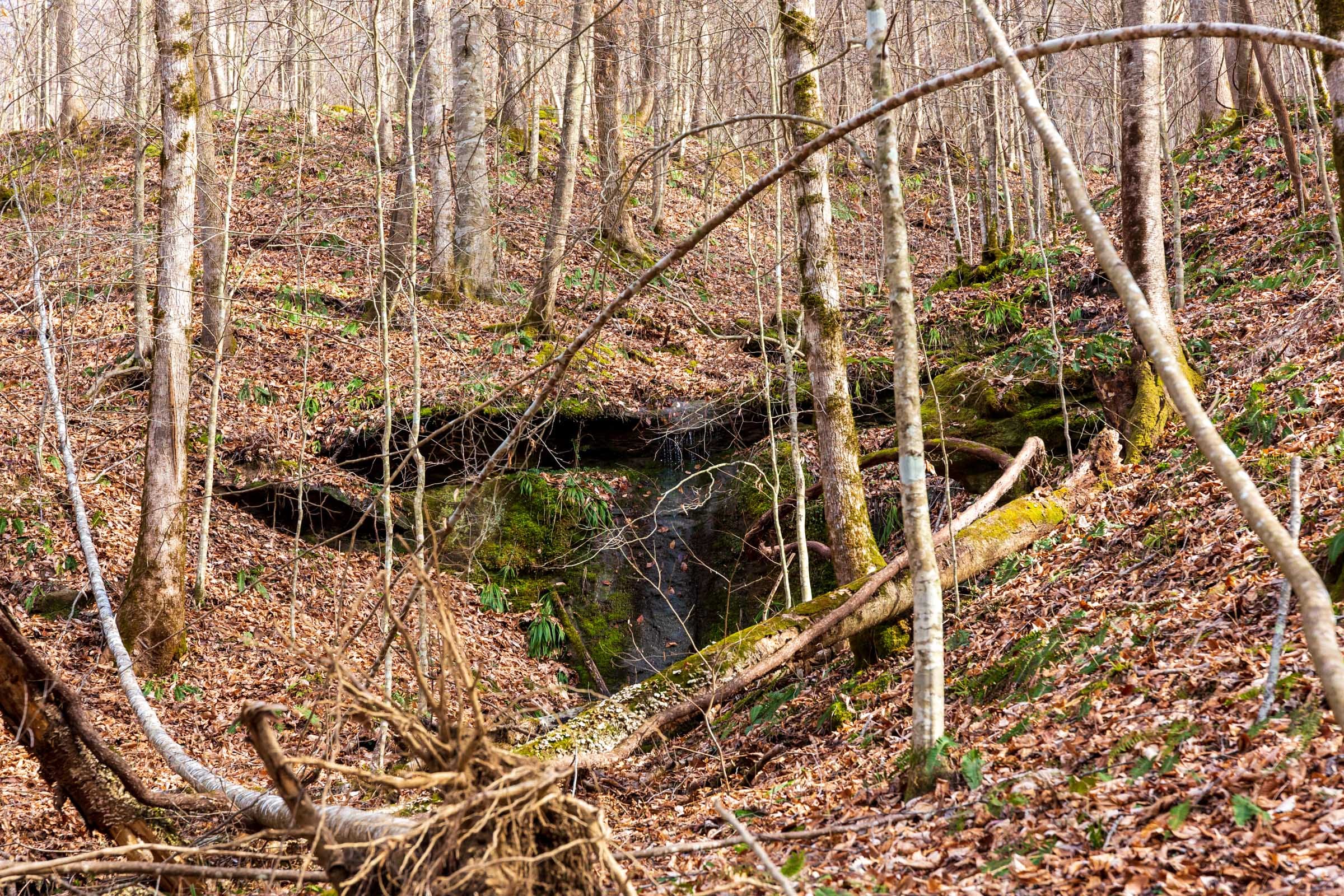 Blackstone Mountain Phase II Tract 57 photo 14