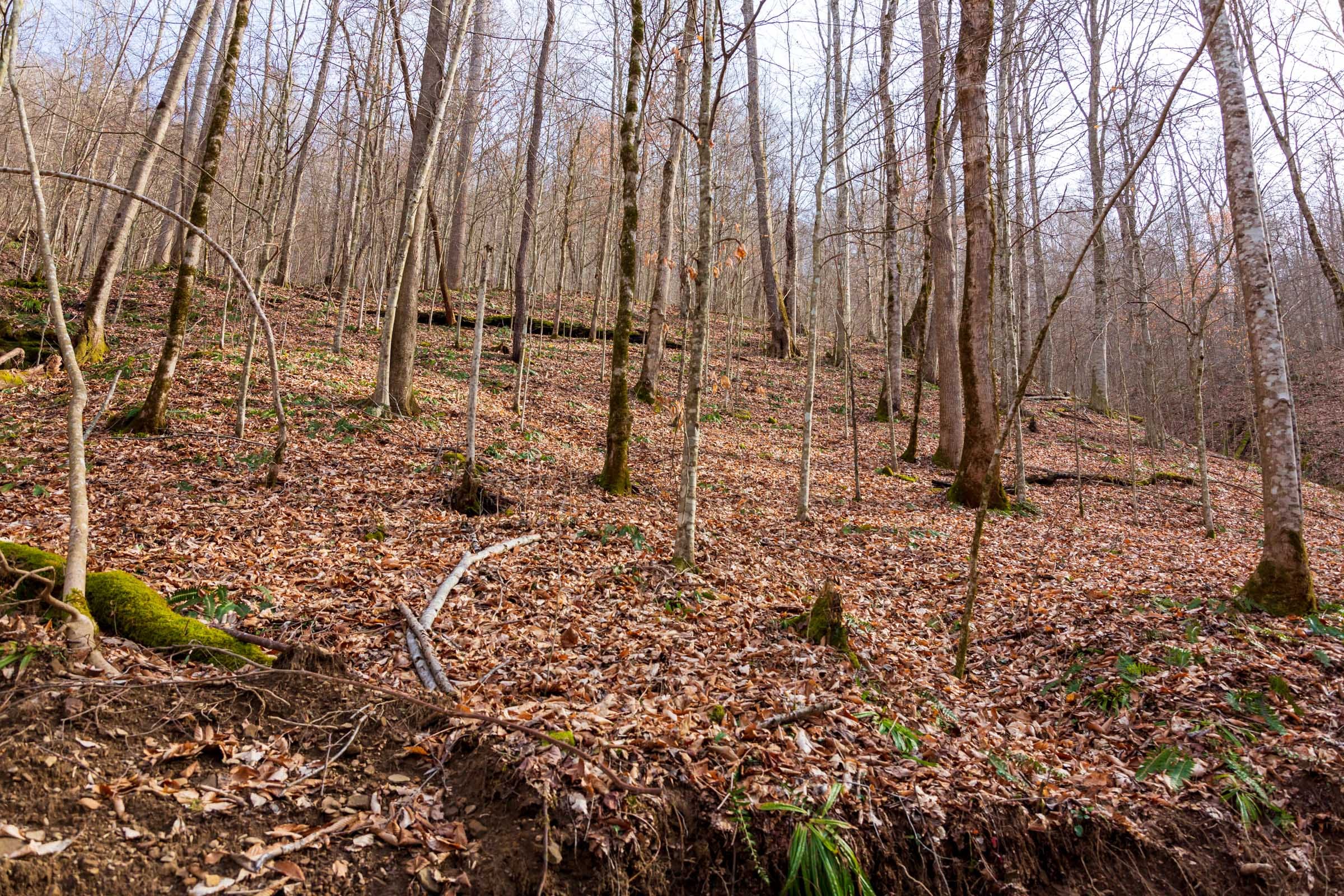 Blackstone Mountain Phase II Tract 57 photo 15