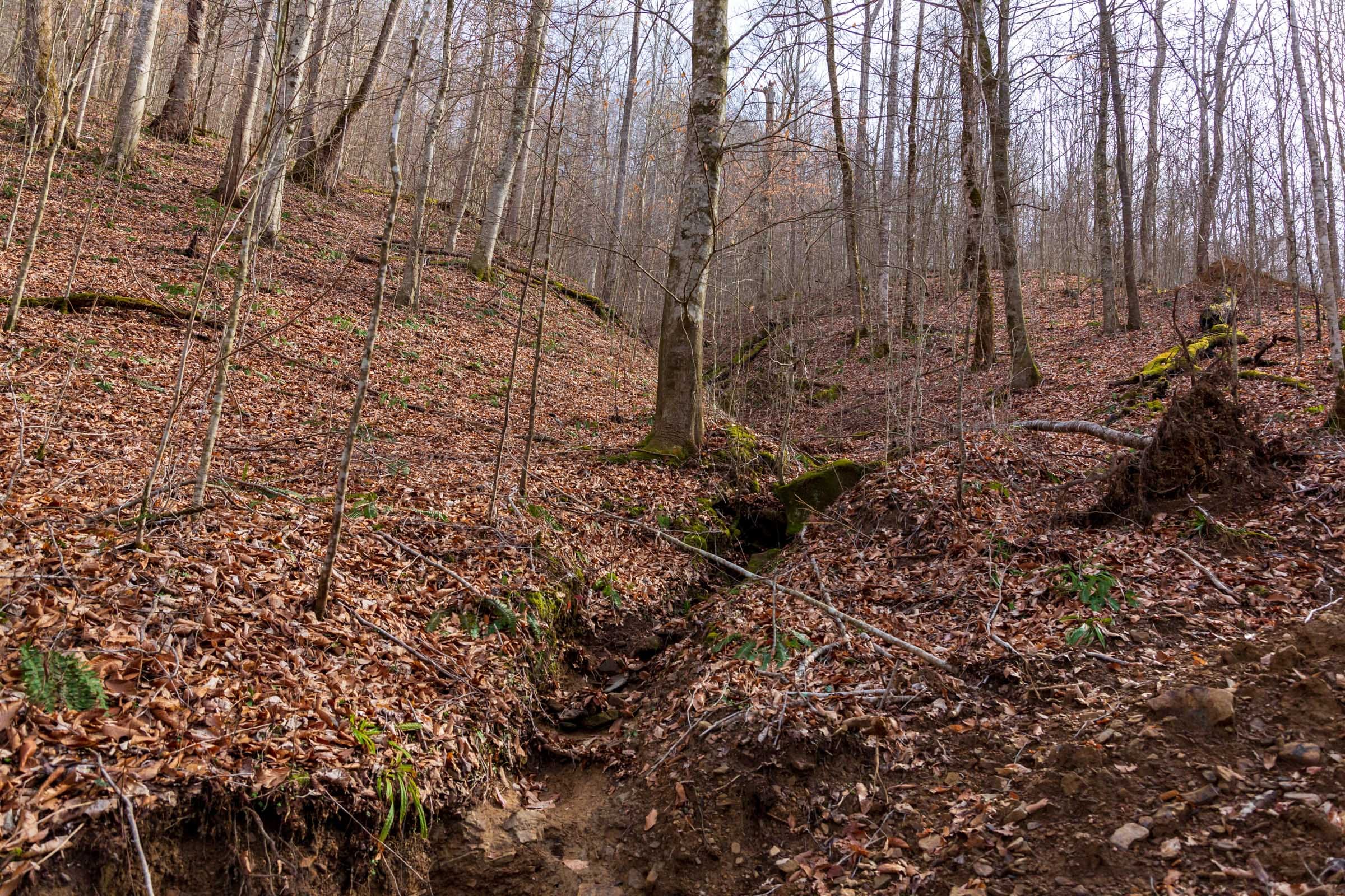 Blackstone Mountain Phase II Tract 57 photo 16