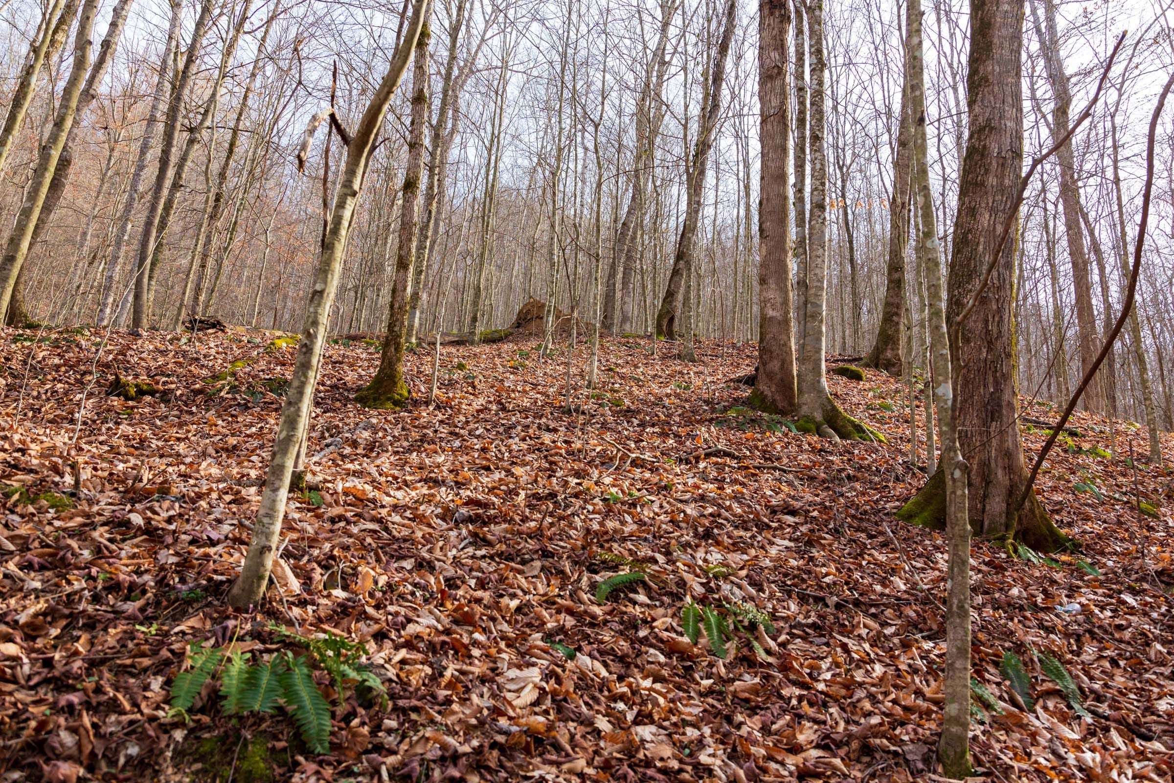 Blackstone Mountain Phase II Tract 57 photo 17
