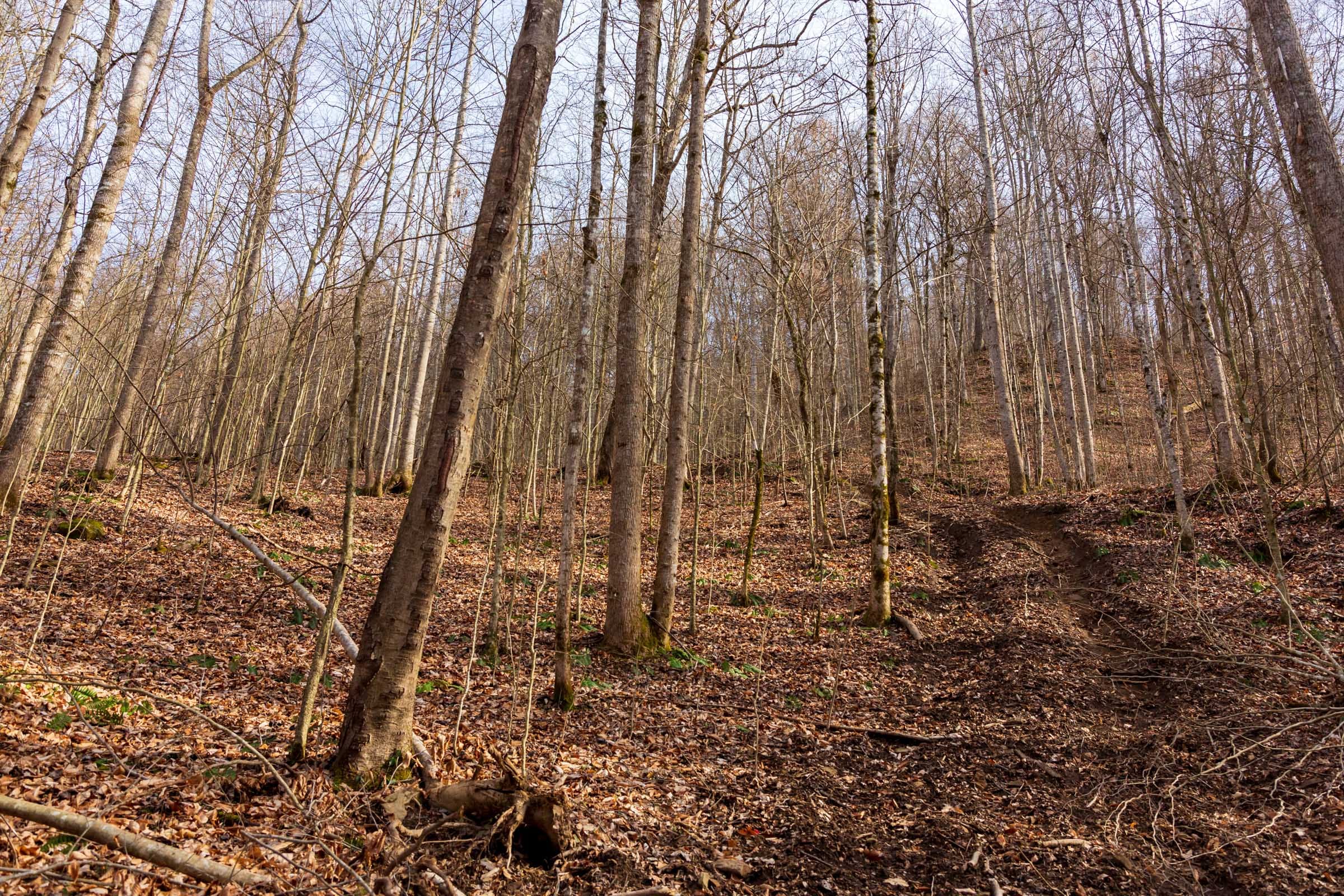 Blackstone Mountain Phase II Tract 57 photo 19