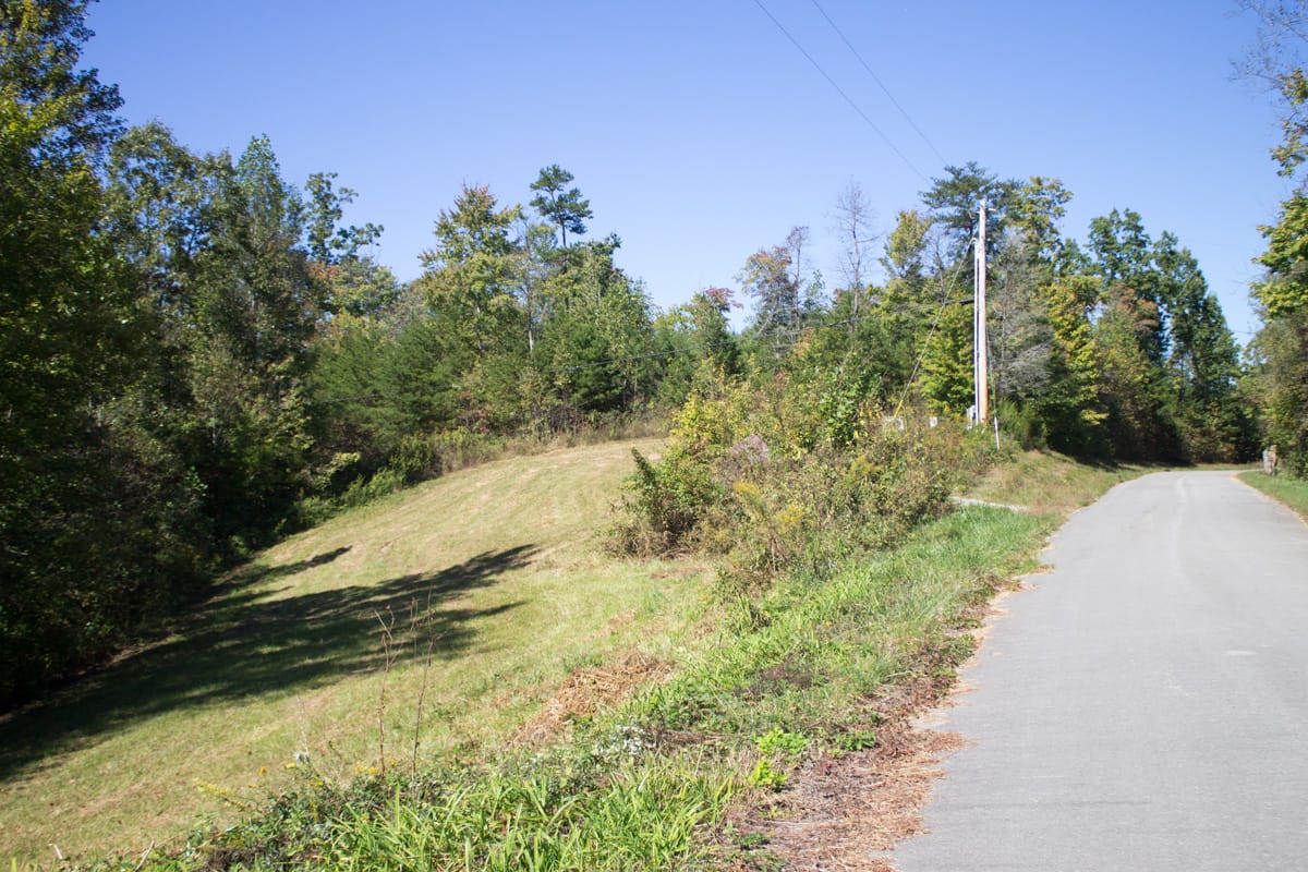 Upper Line Creek Tract 5 photo 3