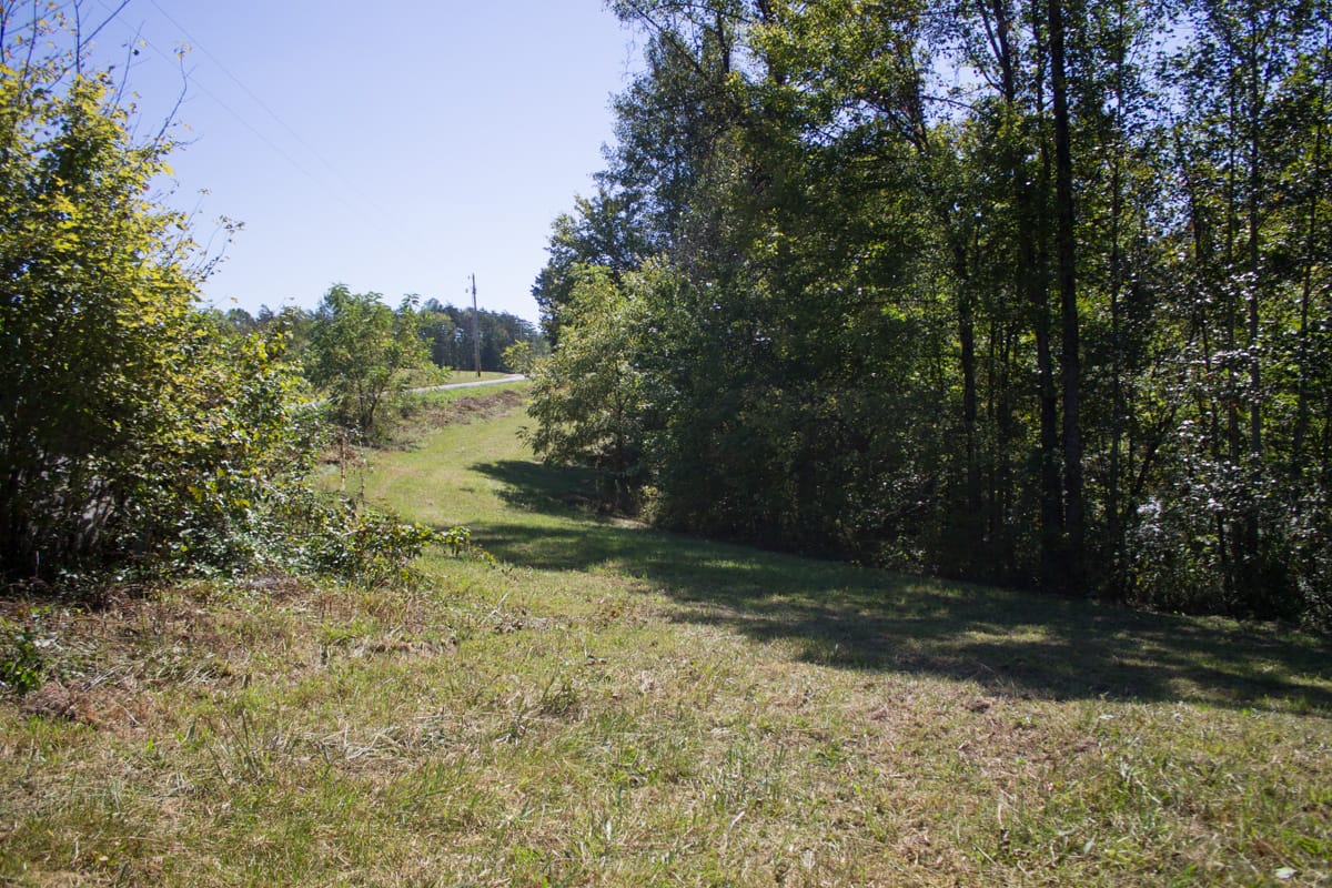 Upper Line Creek Tract 5 photo 5