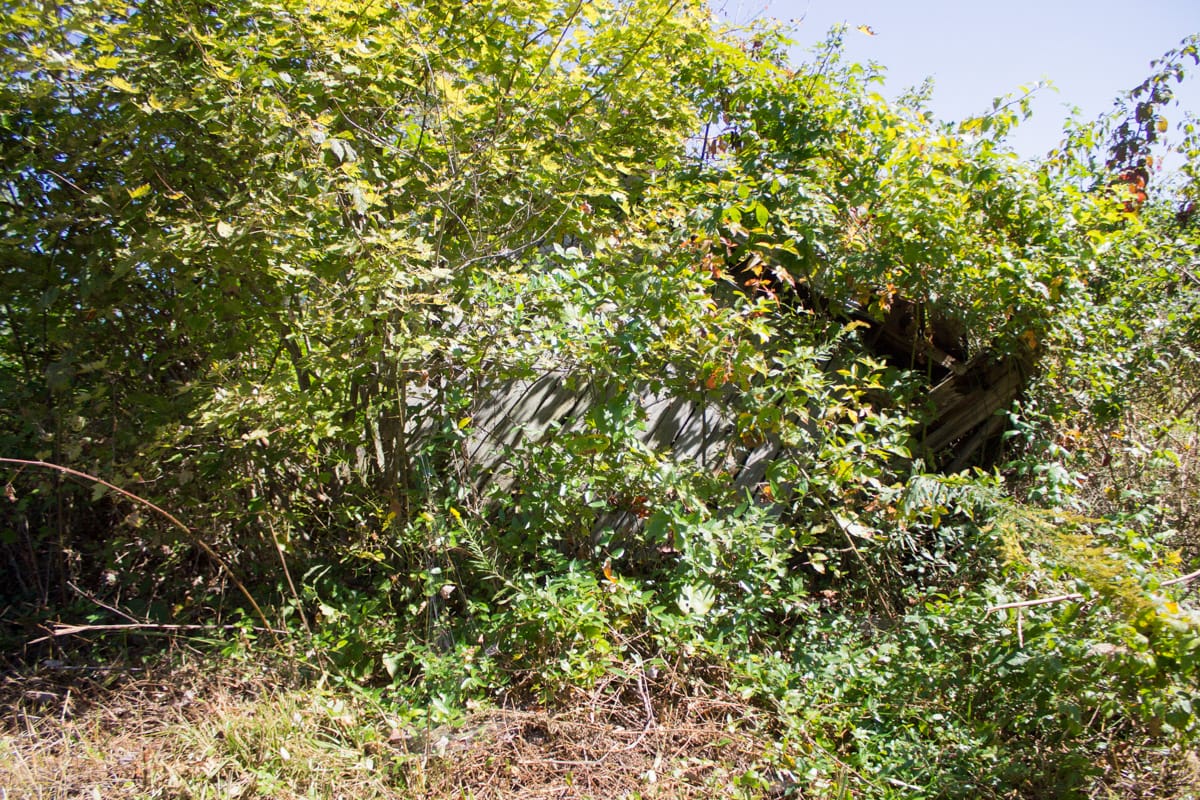 Upper Line Creek Tract 5 photo 12