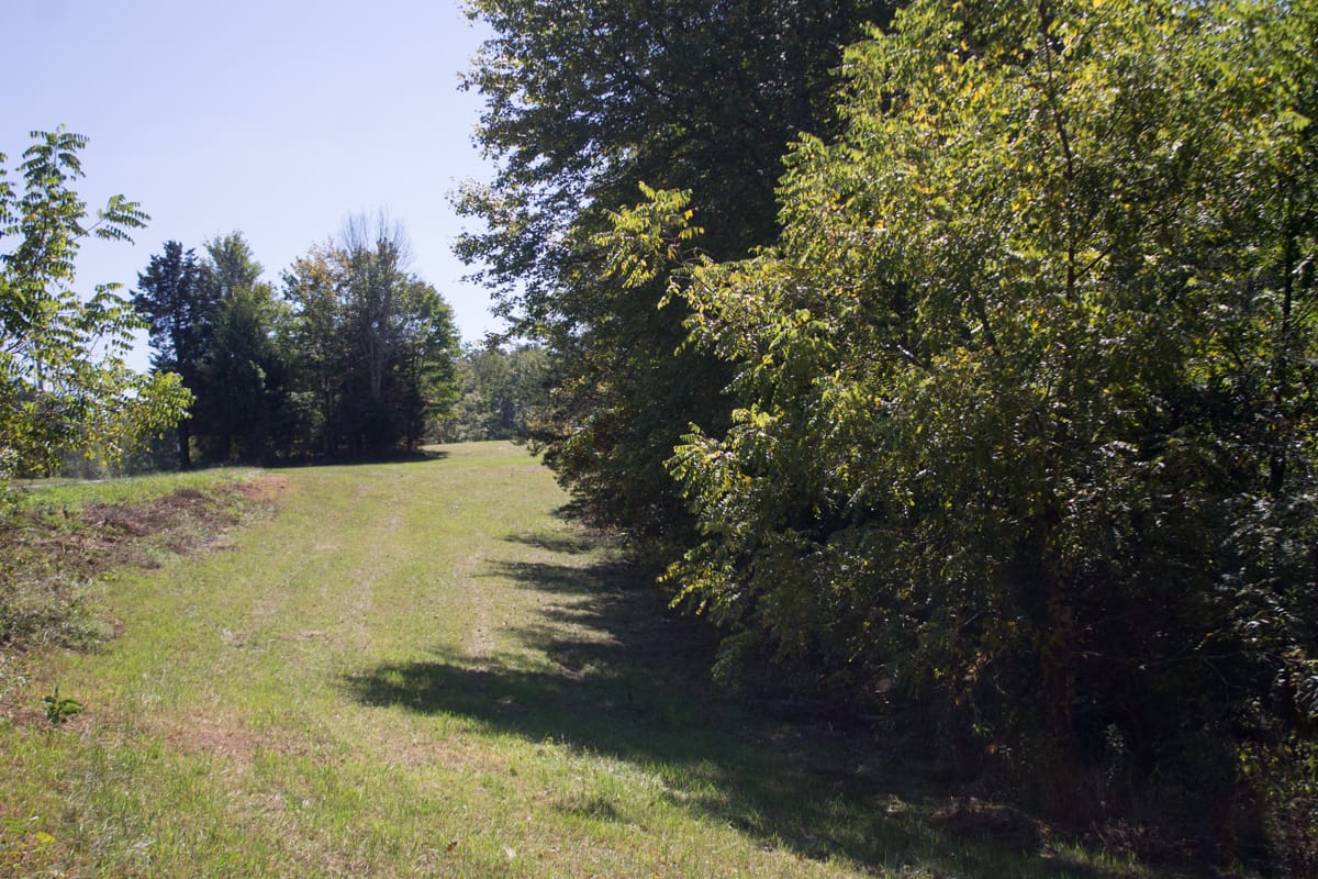 Upper Line Creek Tract 5 photo 1