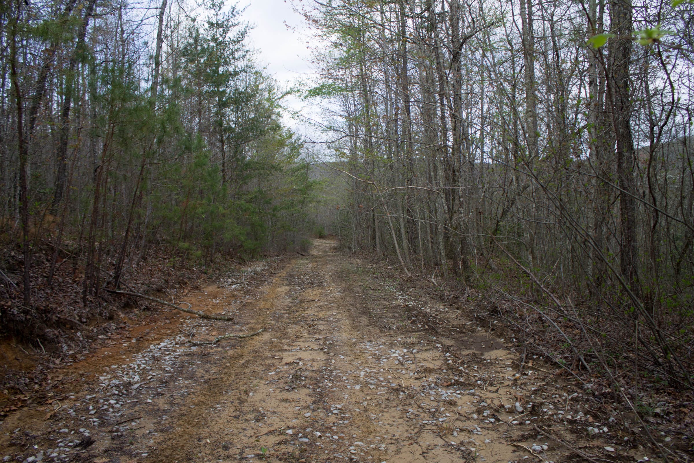 Hidden Hills Tract 44 photo 2