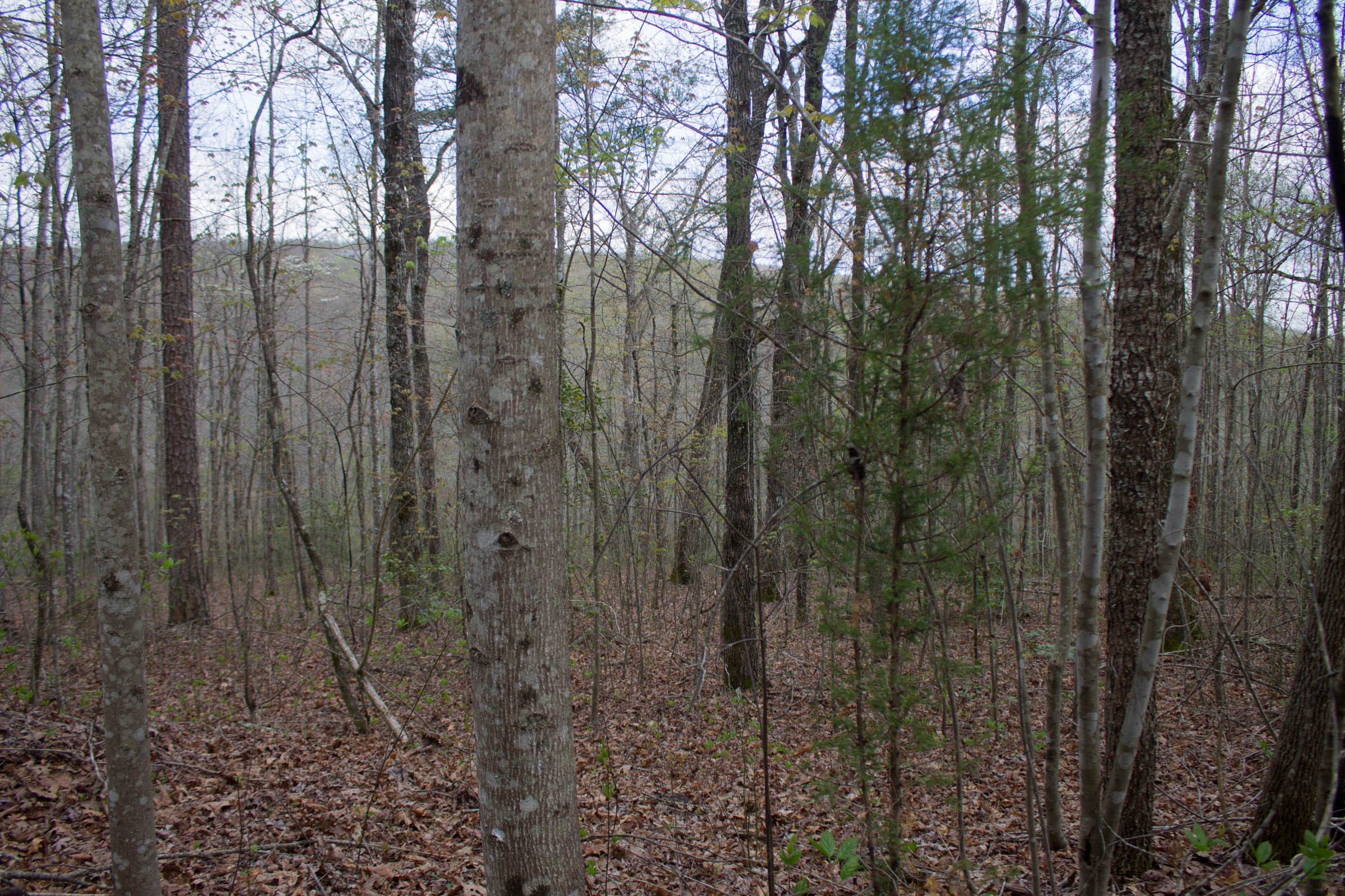 Hidden Hills Tract 44 photo 3