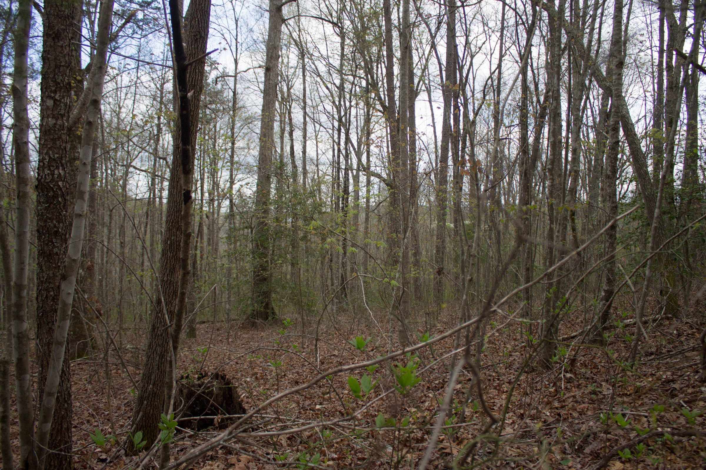 Hidden Hills Tract 44 photo 5