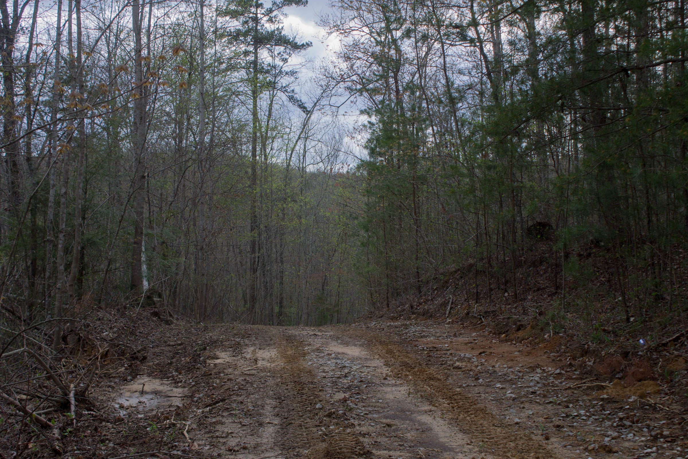 Hidden Hills Tract 44 photo 6
