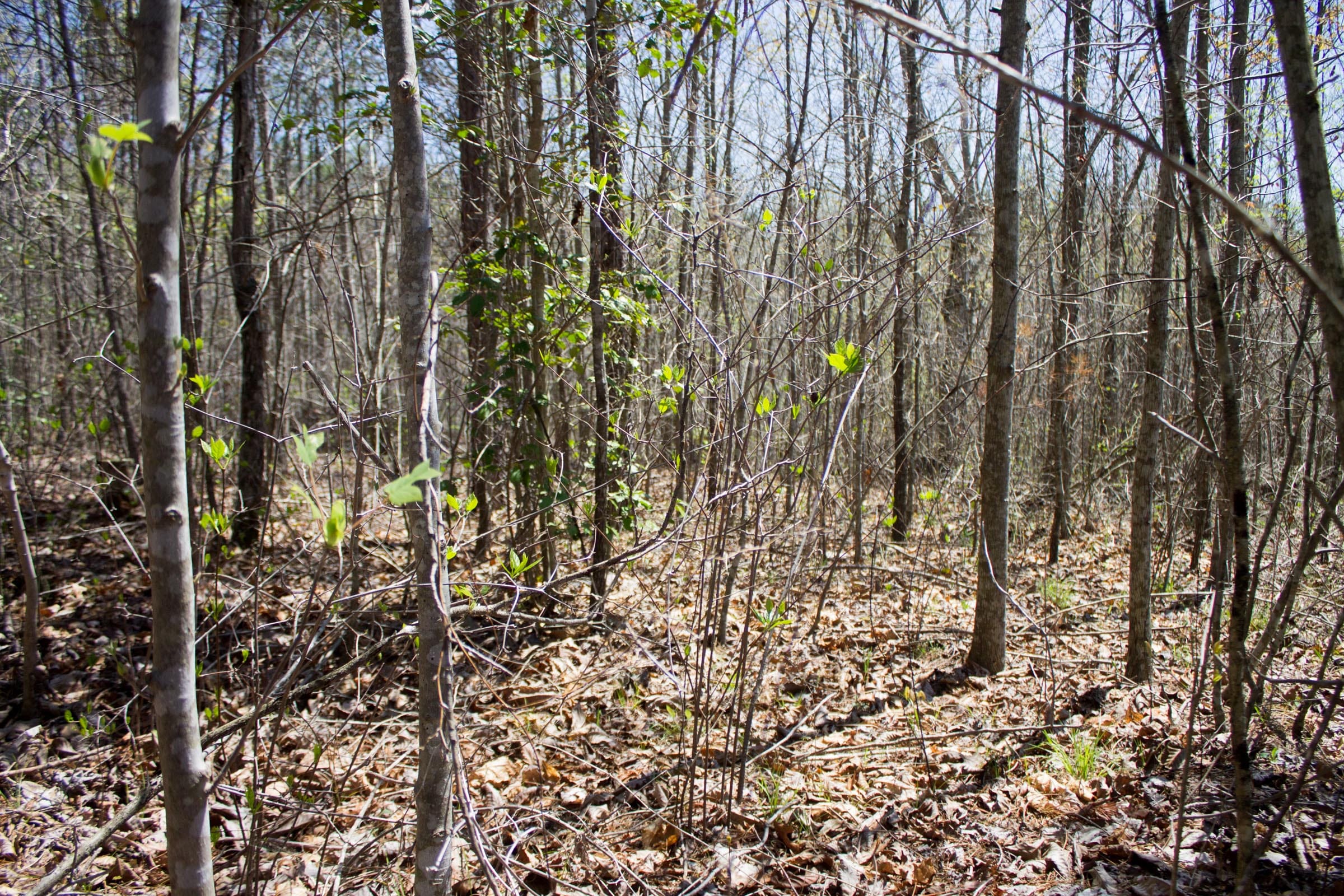 Hidden Hills Tract 44 photo 7