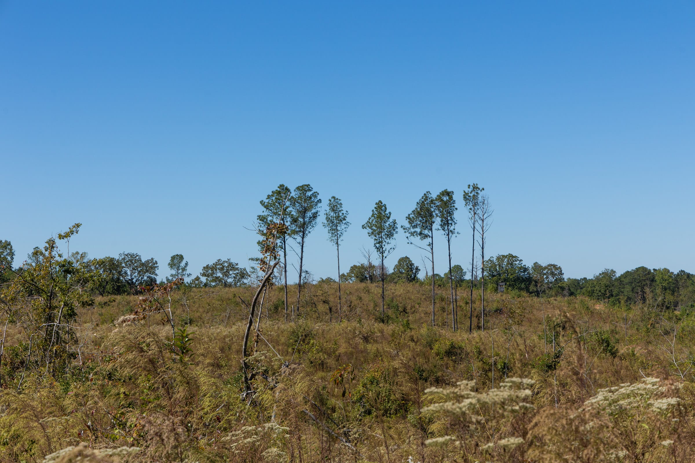 Meyer’s Ridge Tract 7 photo 18