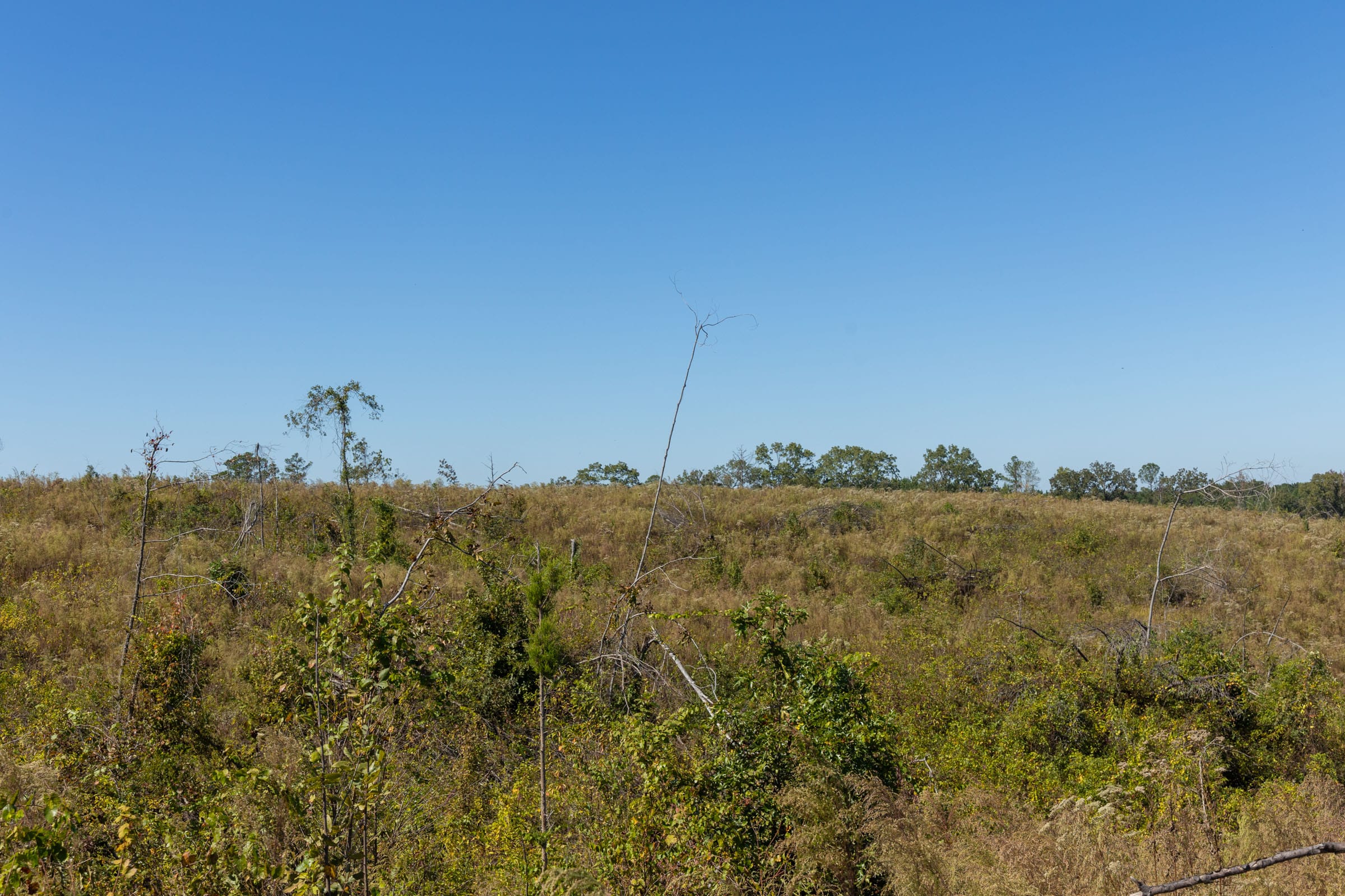 Meyer’s Ridge Tract 7 photo 17