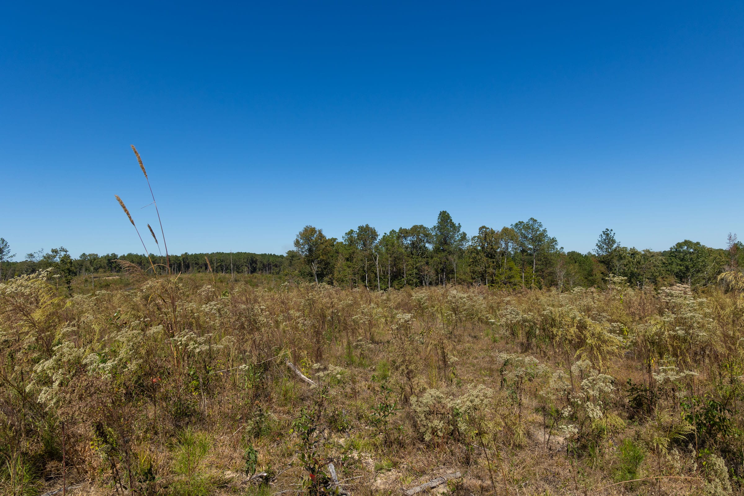Meyer’s Ridge Tract 7 photo 16