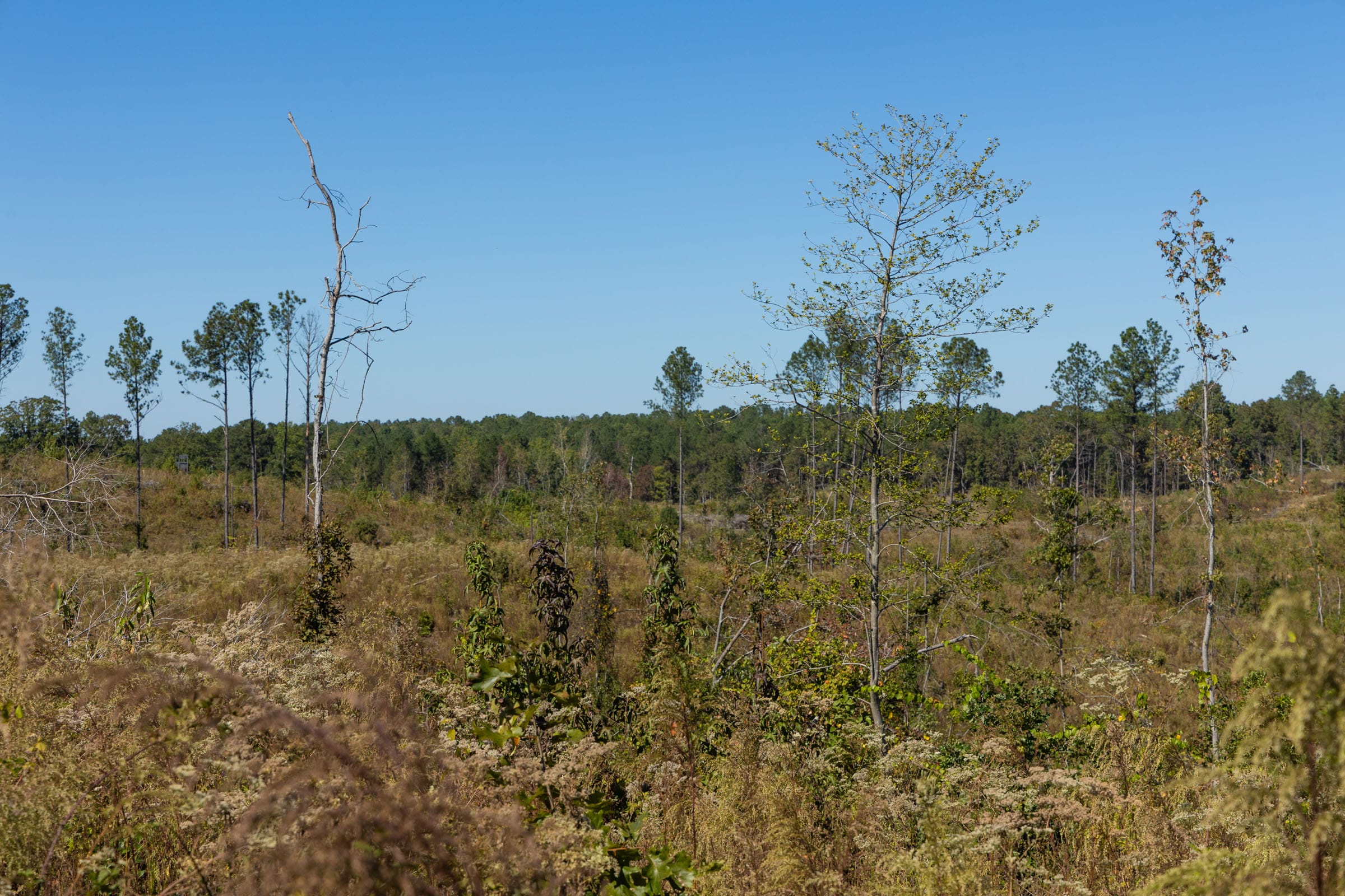 Meyer’s Ridge Tract 7 photo 14
