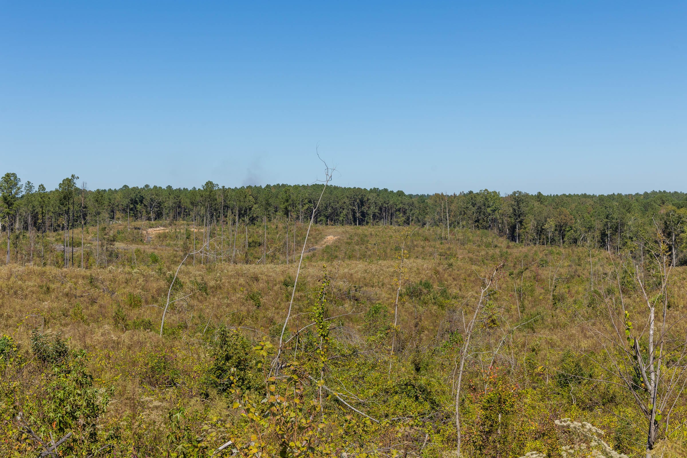 Meyer’s Ridge Tract 7 photo 9
