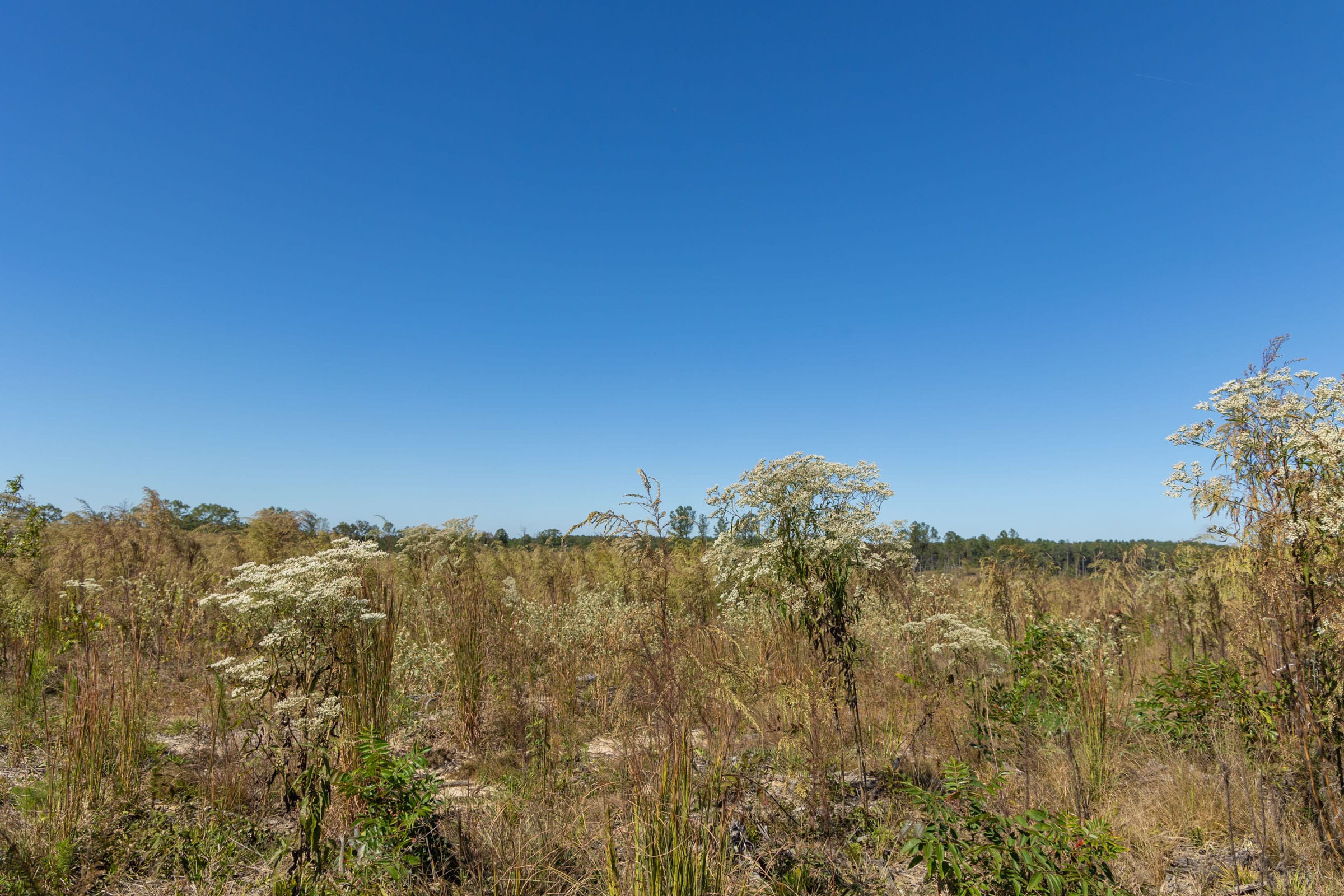 Meyer’s Ridge Tract 7 photo 7
