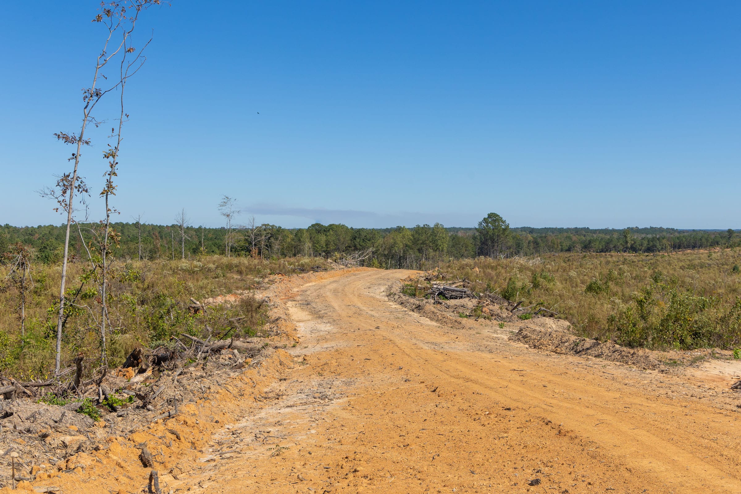 Meyer’s Ridge Tract 7 photo 4