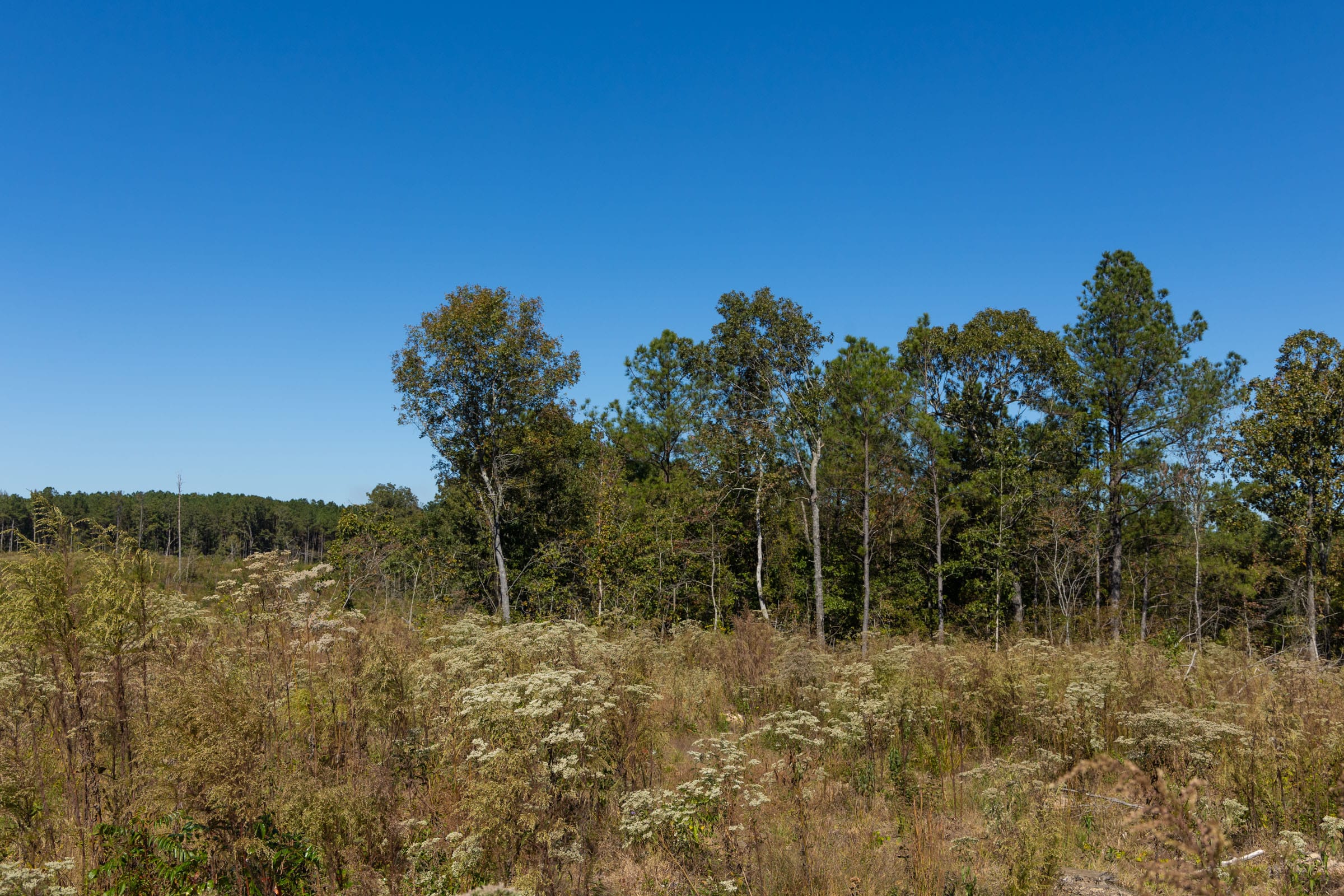 Meyer’s Ridge Tract 7 photo 13