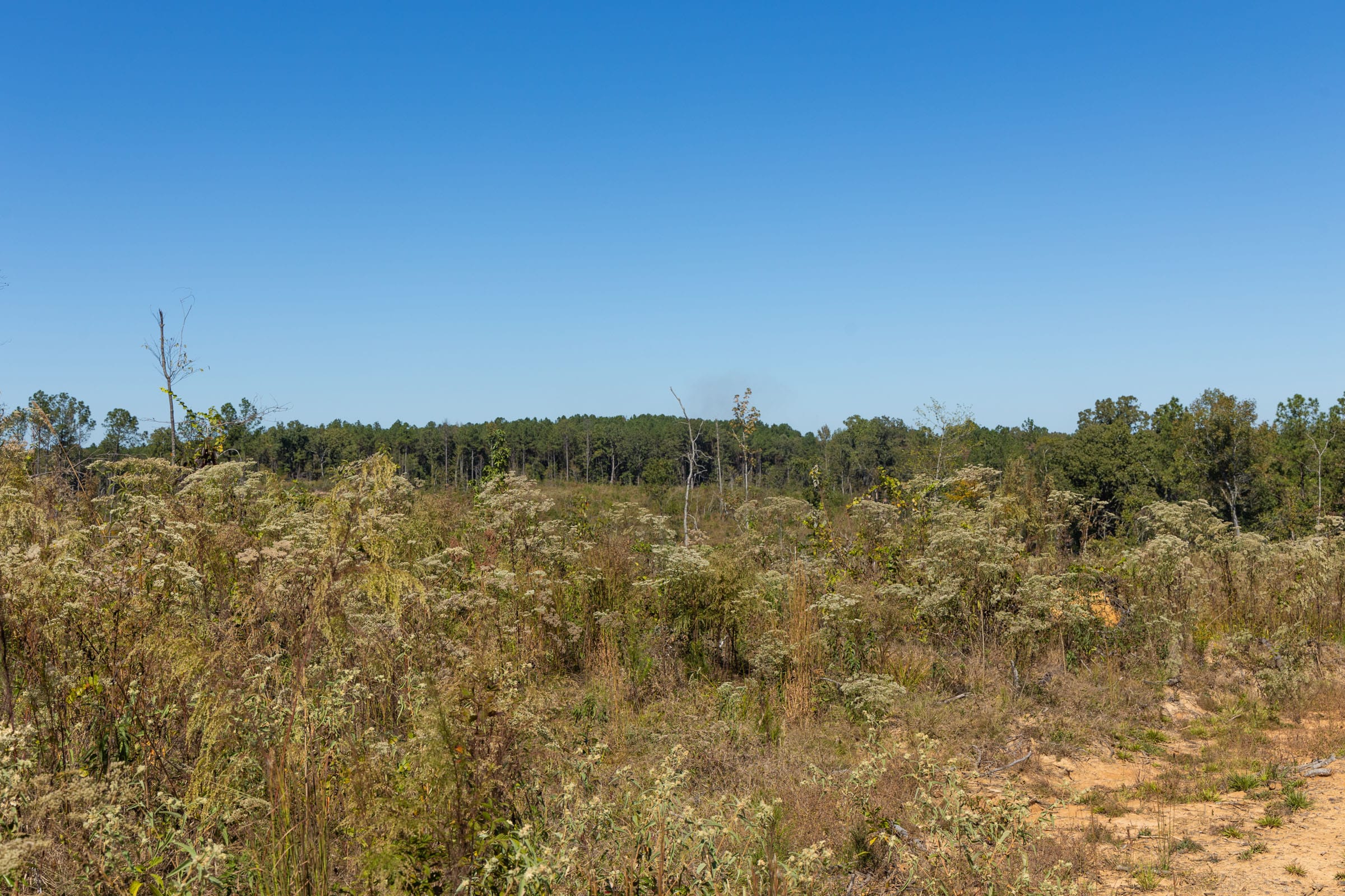 Meyer’s Ridge Tract 7 photo 12