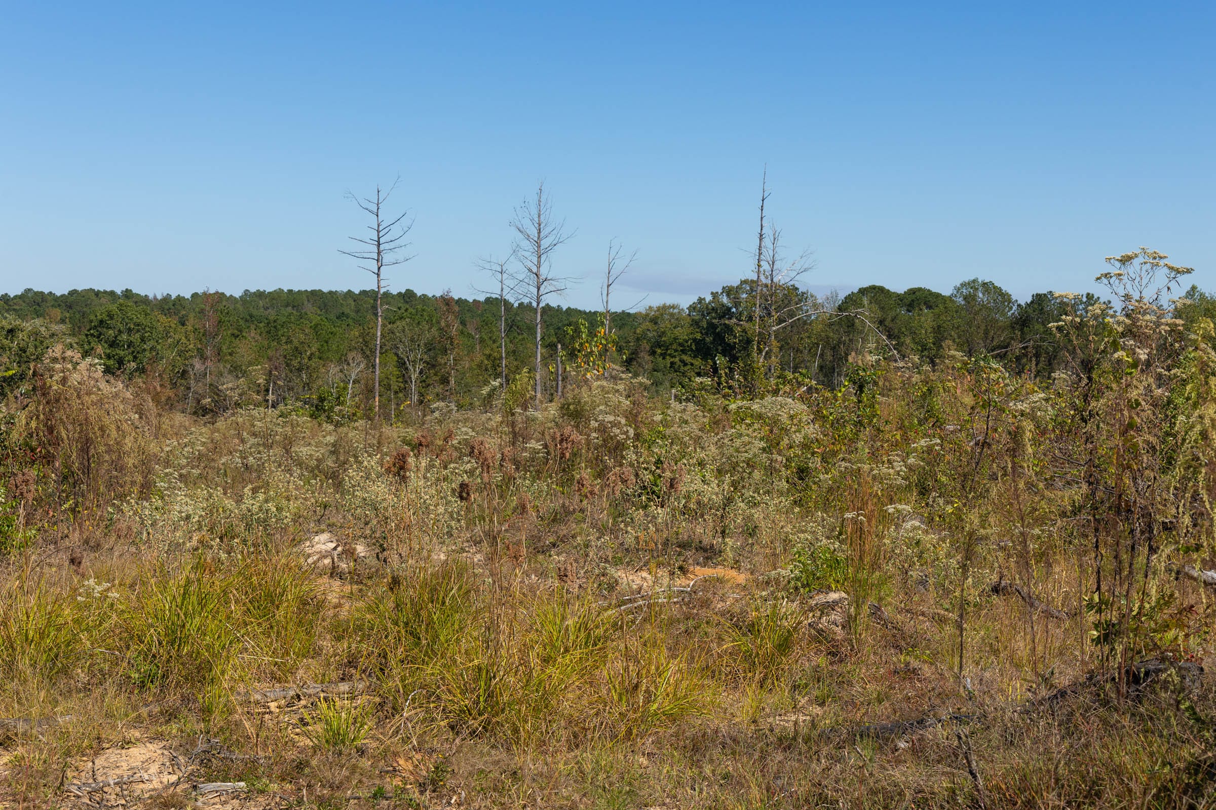Meyer’s Ridge Tract 7 photo 10