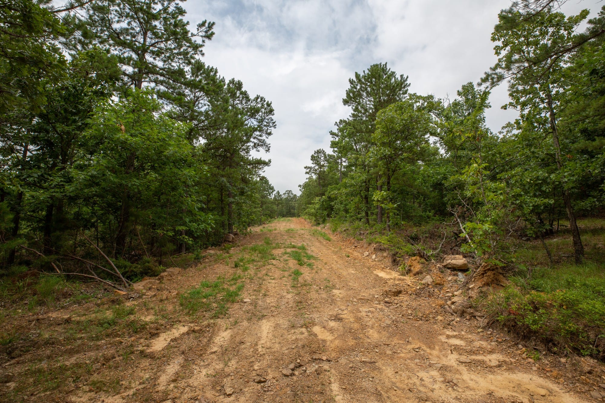 Eagle’s Nest Tract 53 photo 2