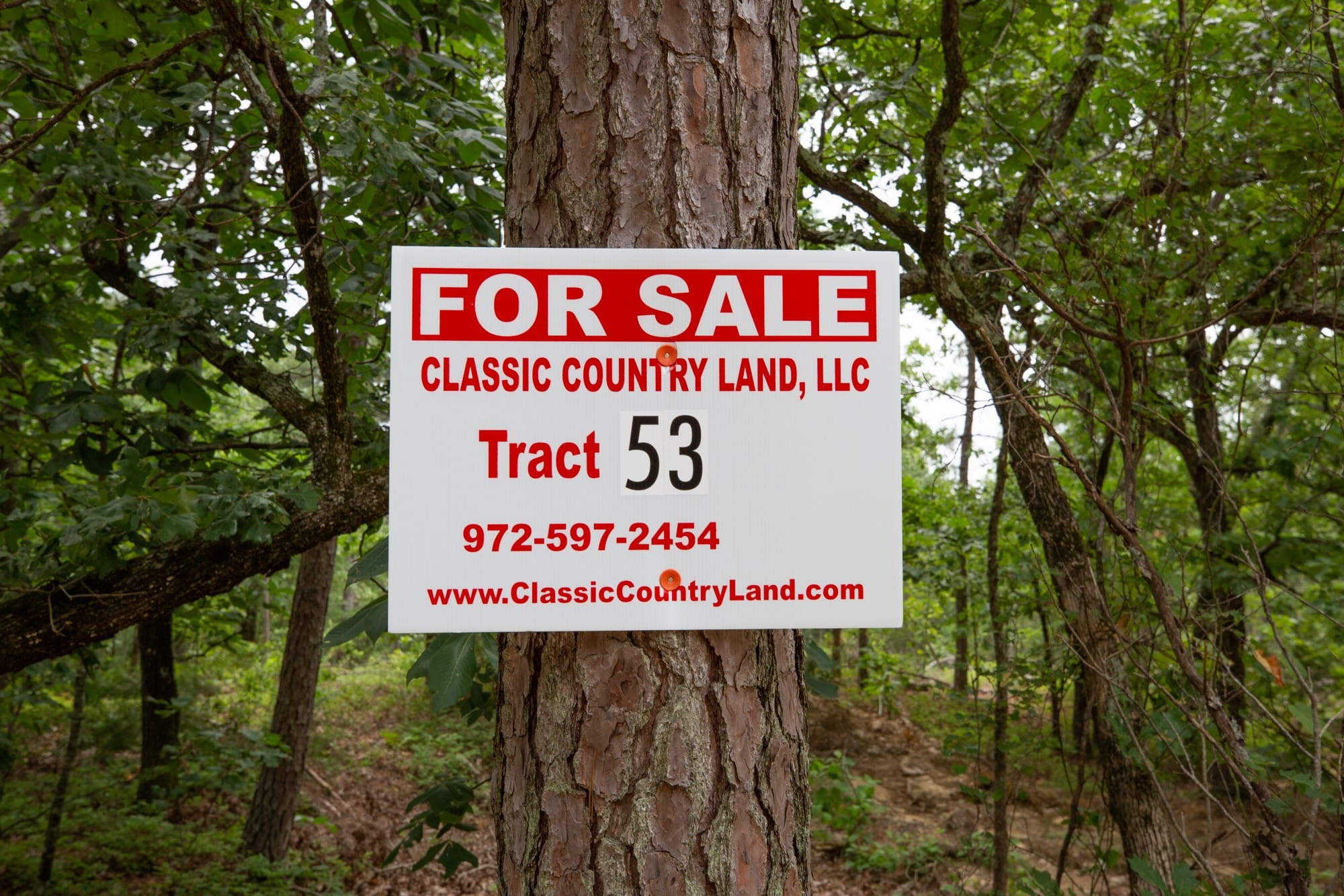 Eagle’s Nest Tract 53 photo 1