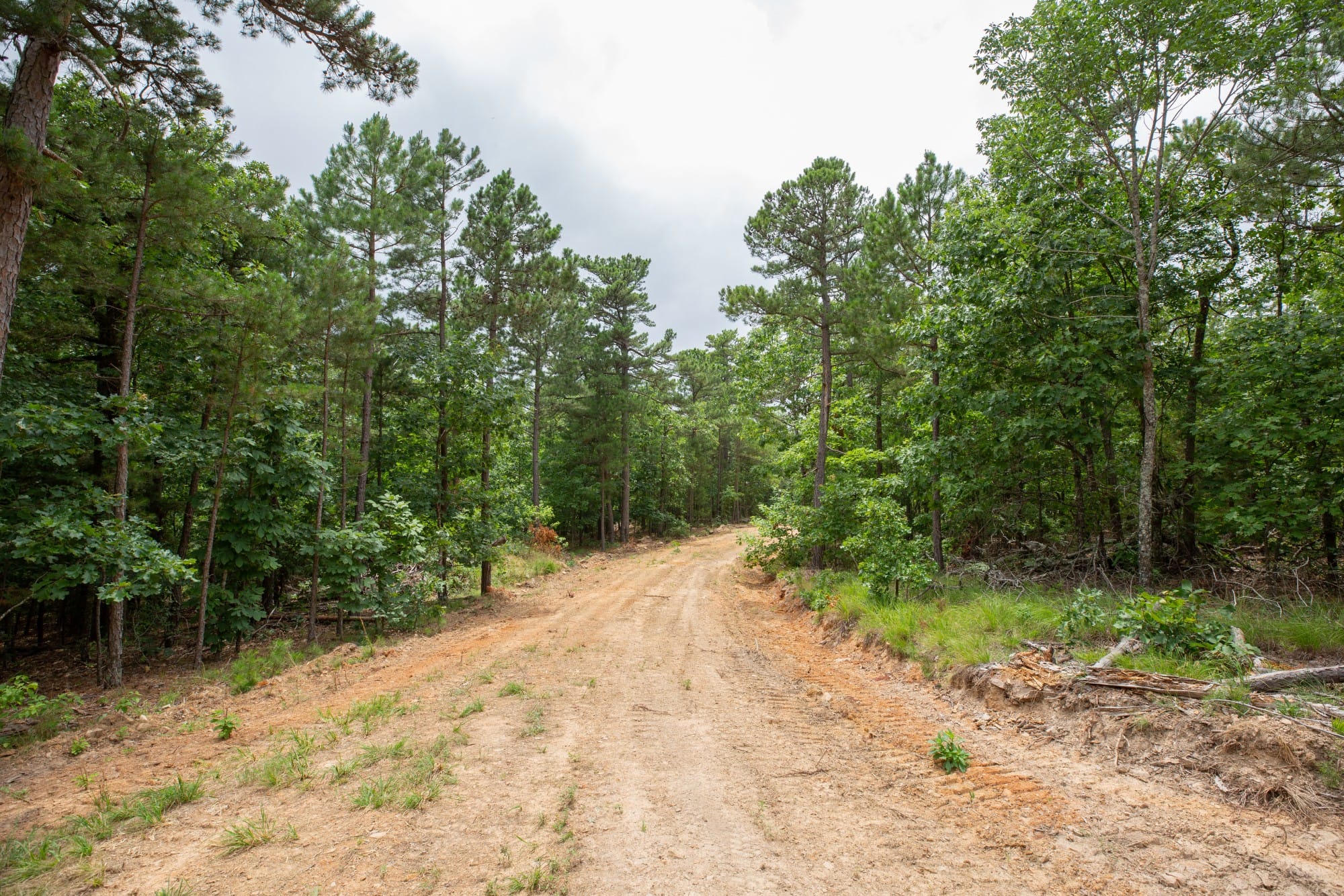 Eagle’s Nest Tract 53 photo 11