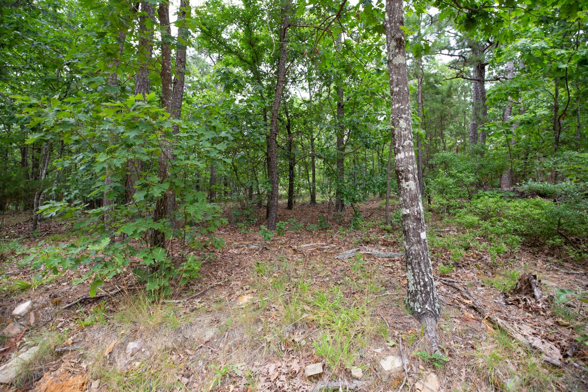 Eagle’s Nest Tract 53 photo 4