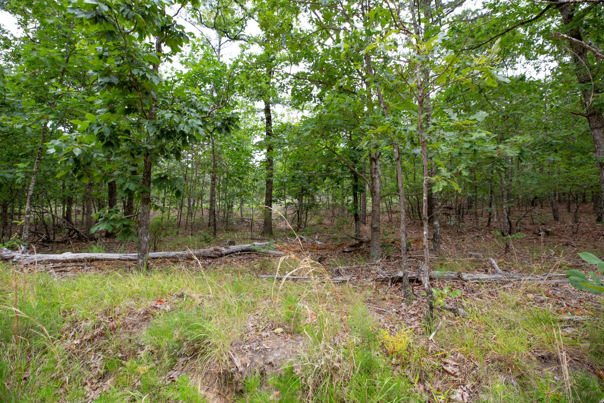Eagle’s Nest Tract 53 photo 8