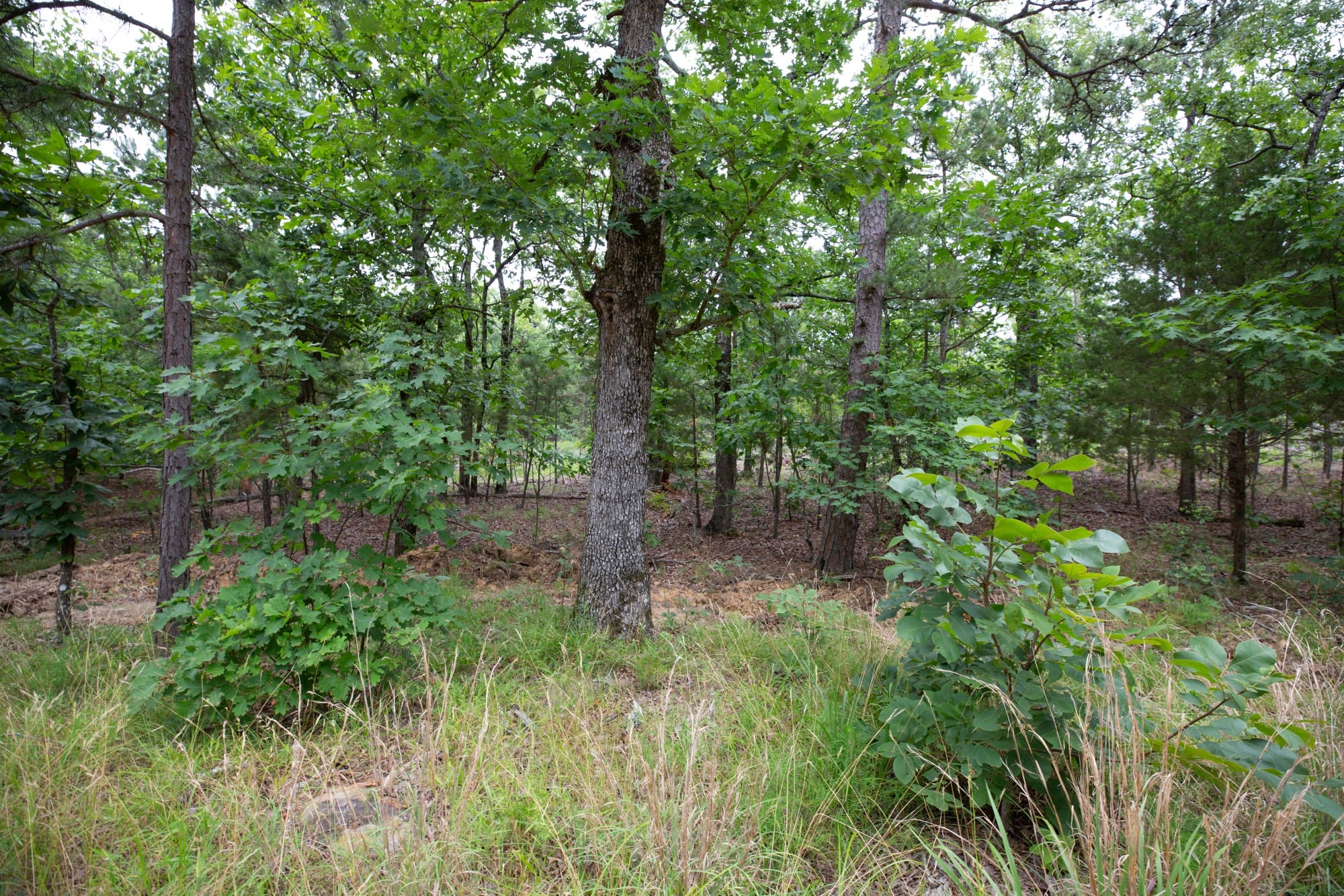 Eagle’s Nest Tract 53 photo 9