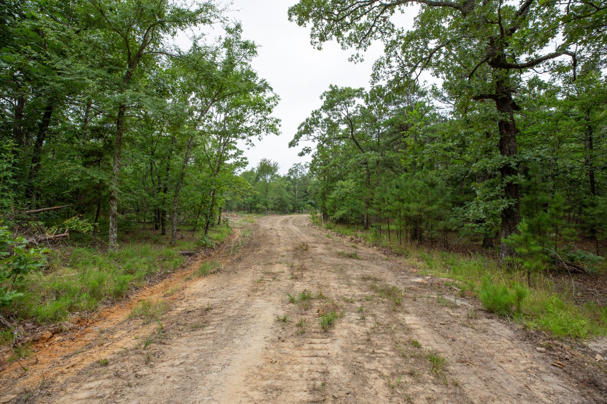 Eagle’s Nest Tract 53 photo 6