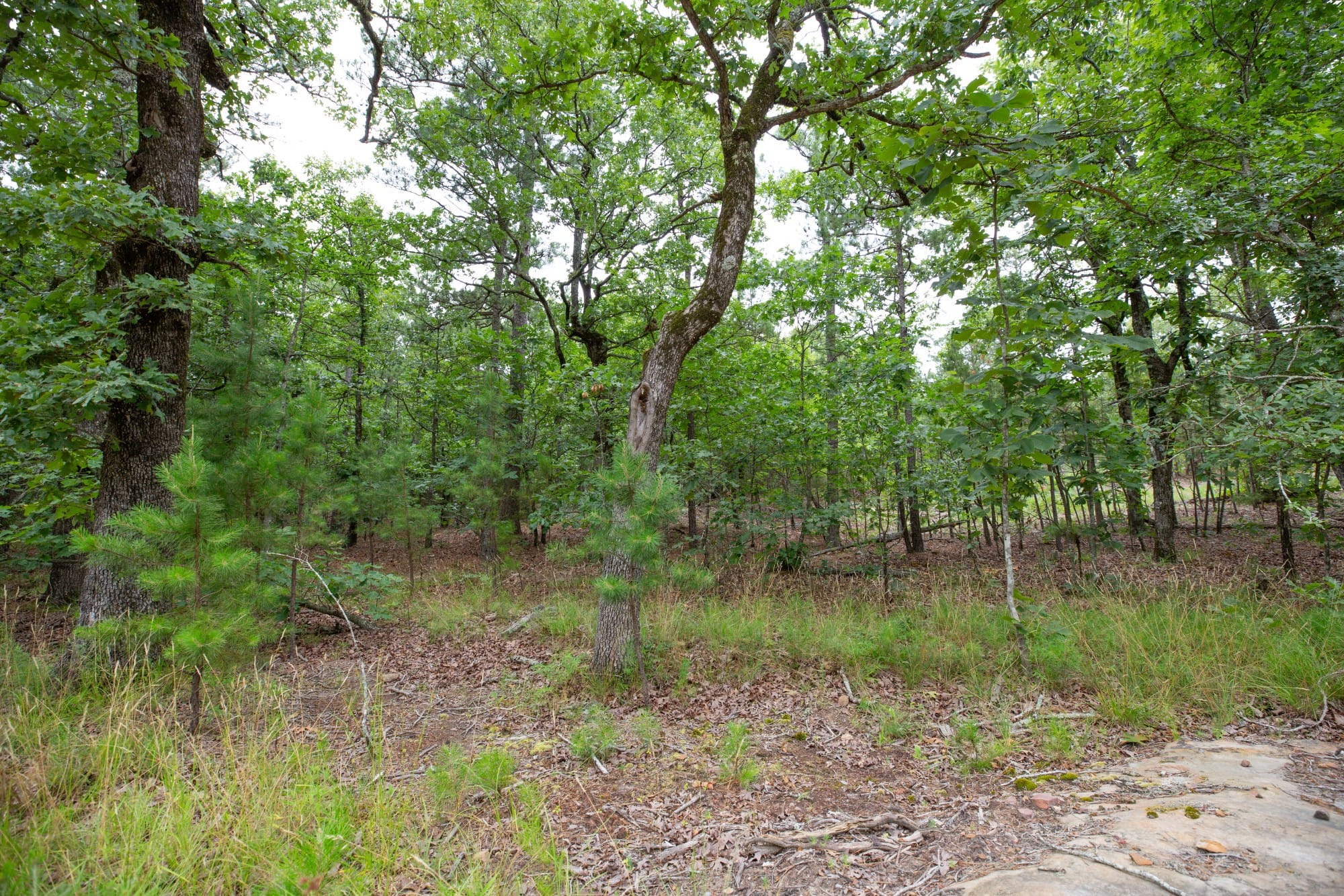 Eagle’s Nest Tract 53 photo 10
