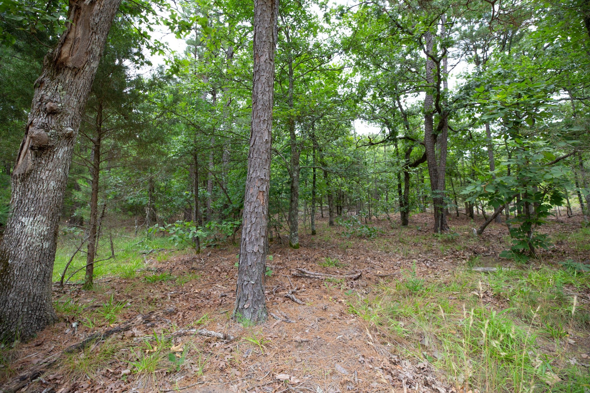 Eagle’s Nest Tract 53 photo 12