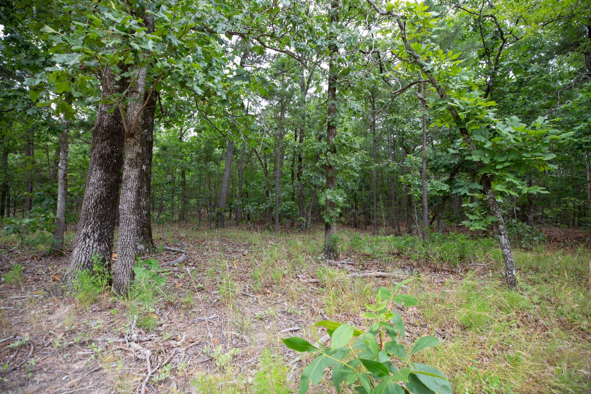 Eagle’s Nest Tract 53 photo 13
