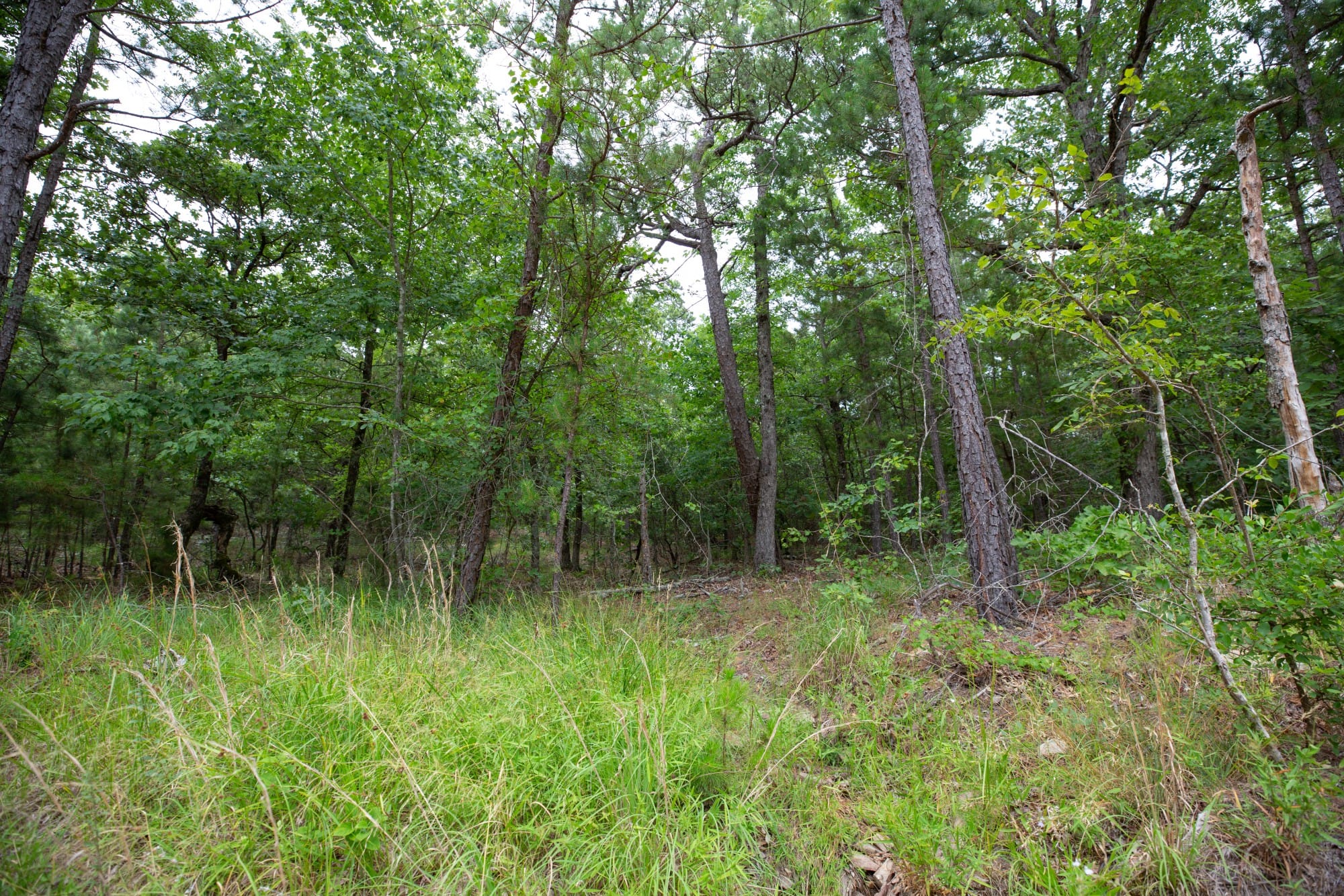 Eagle’s Nest Tract 53 photo 14