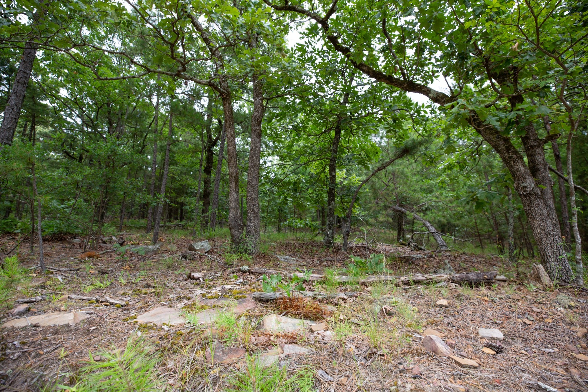 Eagle’s Nest Tract 53 photo 15