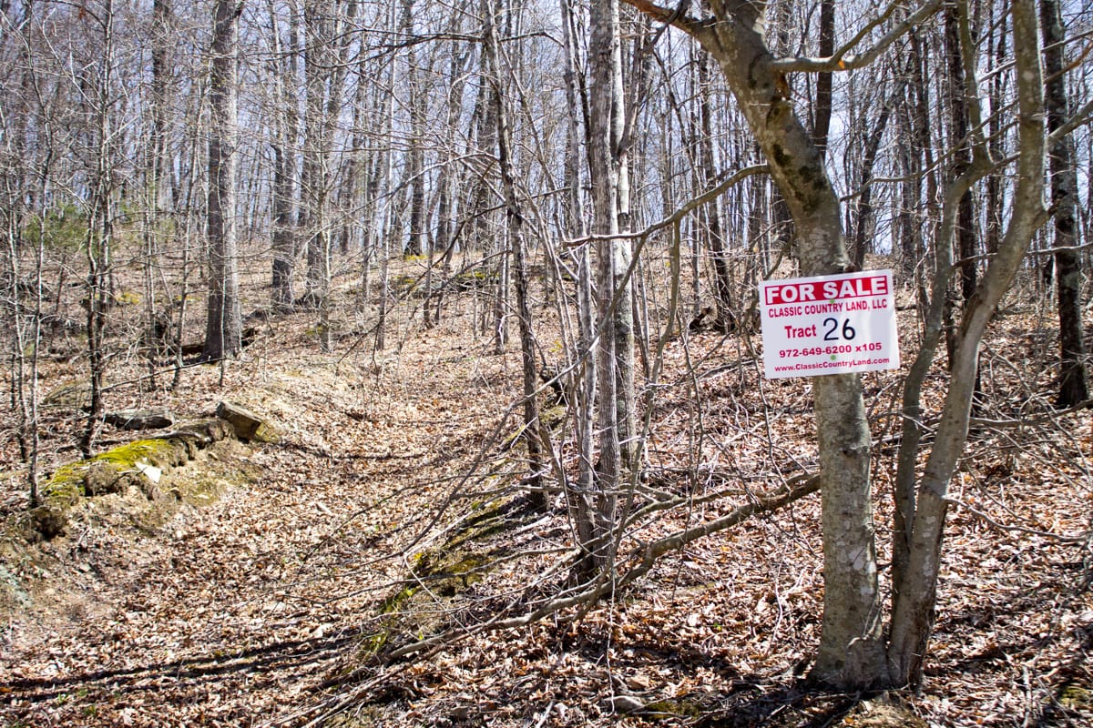 Chestnut Oak Ridge Tract 26 photo 1