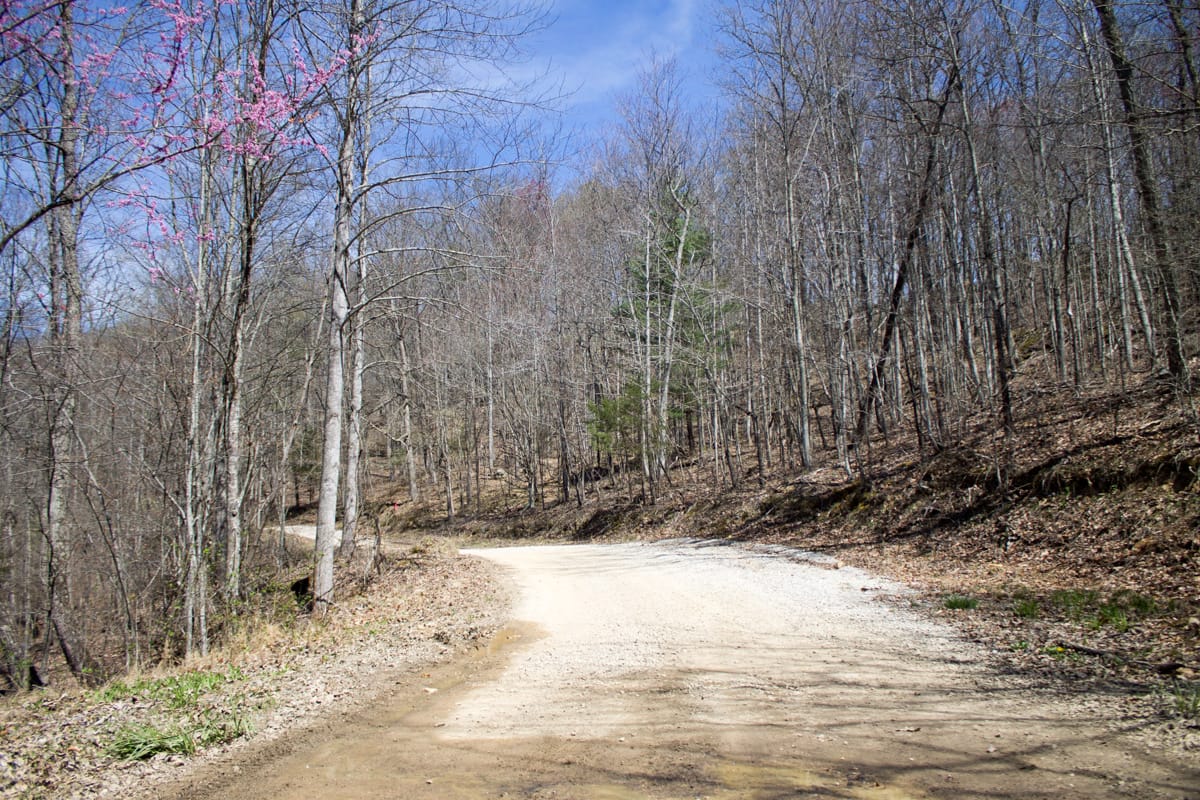 Chestnut Oak Ridge Tract 26 photo 2