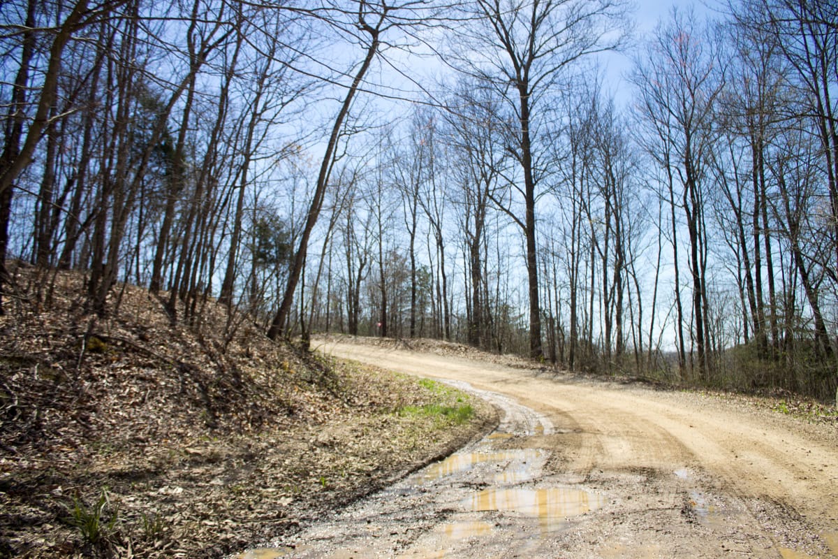 Chestnut Oak Ridge Tract 26 photo 3