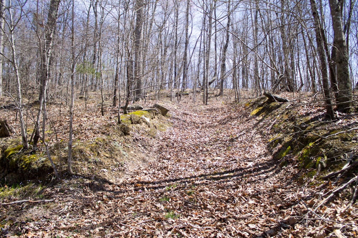 Chestnut Oak Ridge Tract 26 photo 4